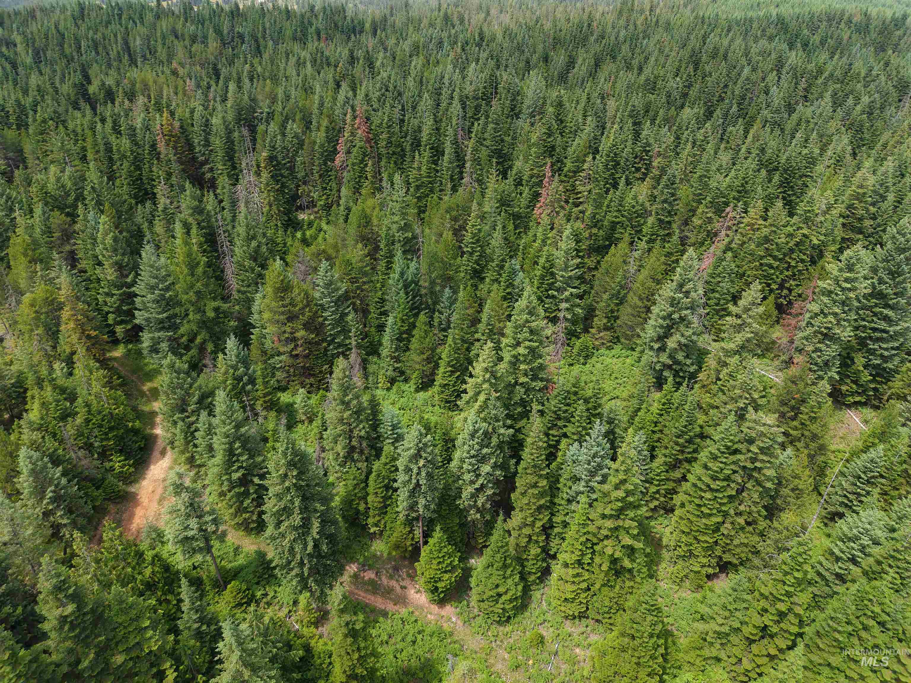 TBD Highway 11, Weippe, Idaho 83553, Land For Sale, Price $585,000, 98969140