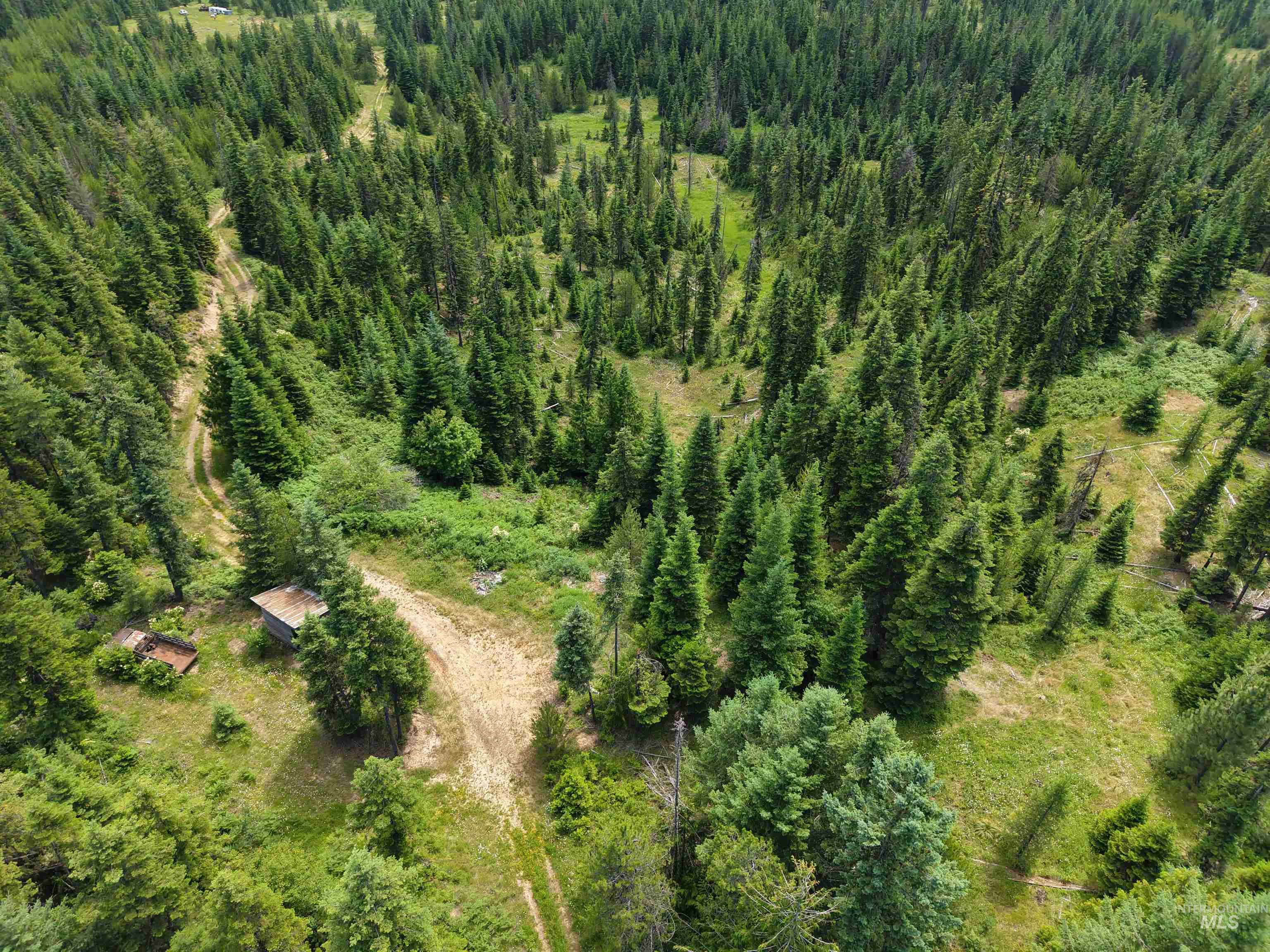 TBD Highway 11, Weippe, Idaho 83553, Land For Sale, Price $585,000, 98969140