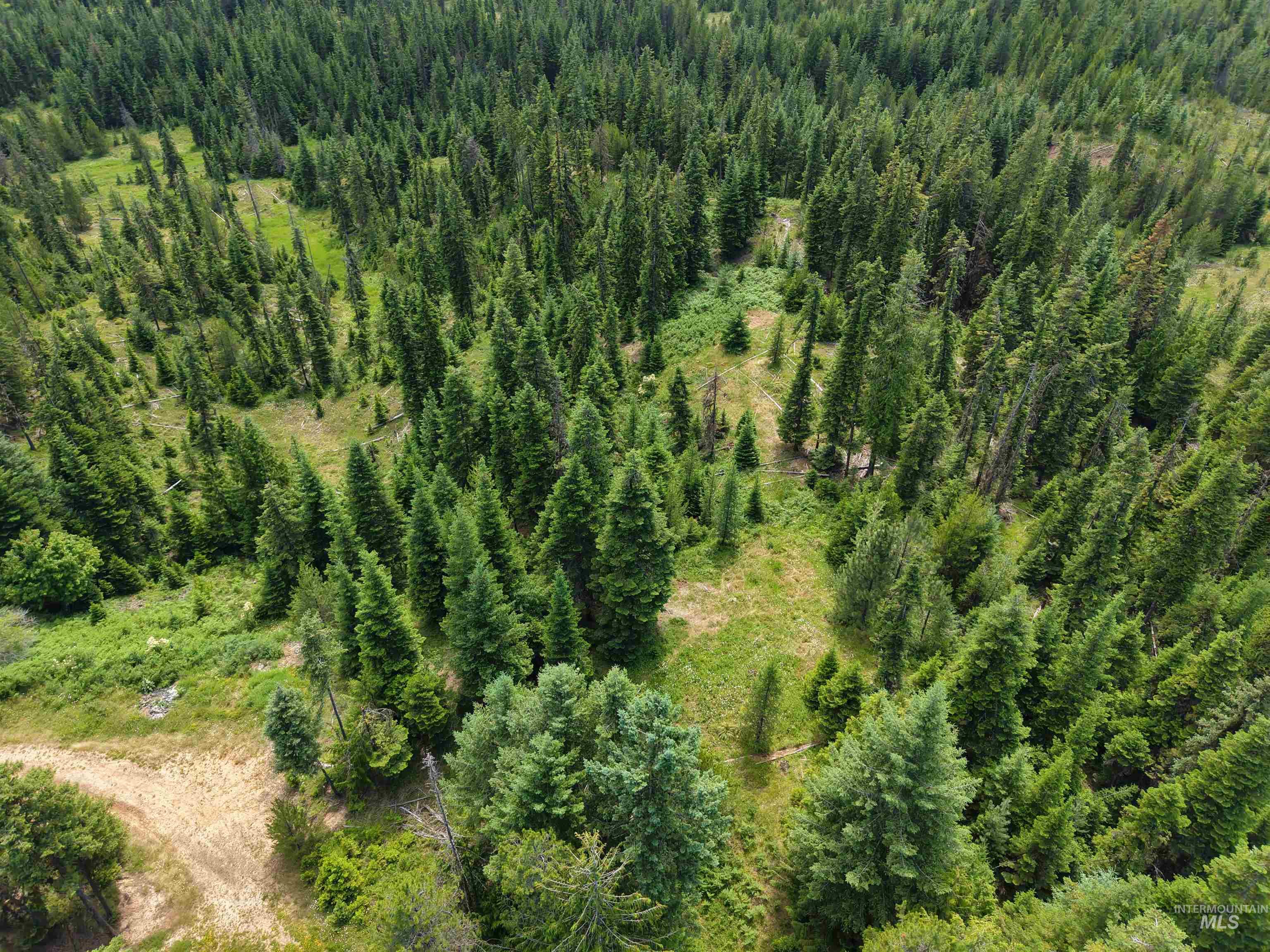 TBD Highway 11, Weippe, Idaho 83553, Land For Sale, Price $585,000, 98969140