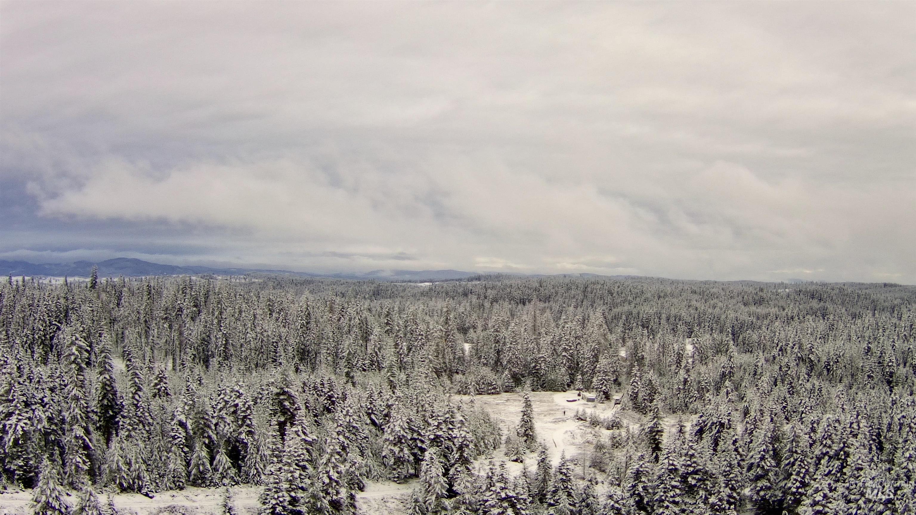 TBD Highway 11, Weippe, Idaho 83553, Land For Sale, Price $649,000,MLS 98969140