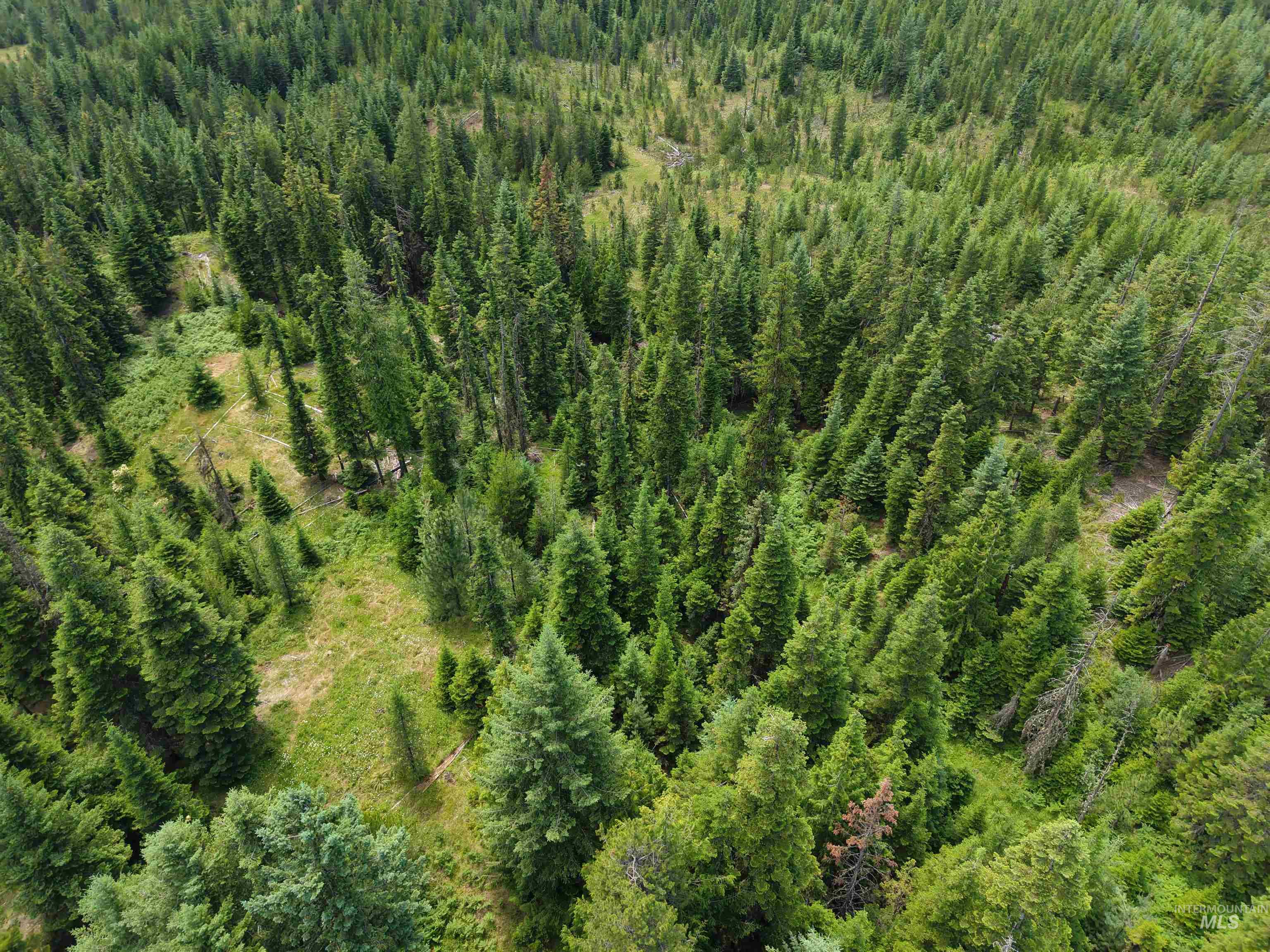 TBD Highway 11, Weippe, Idaho 83553, Land For Sale, Price $585,000, 98969140