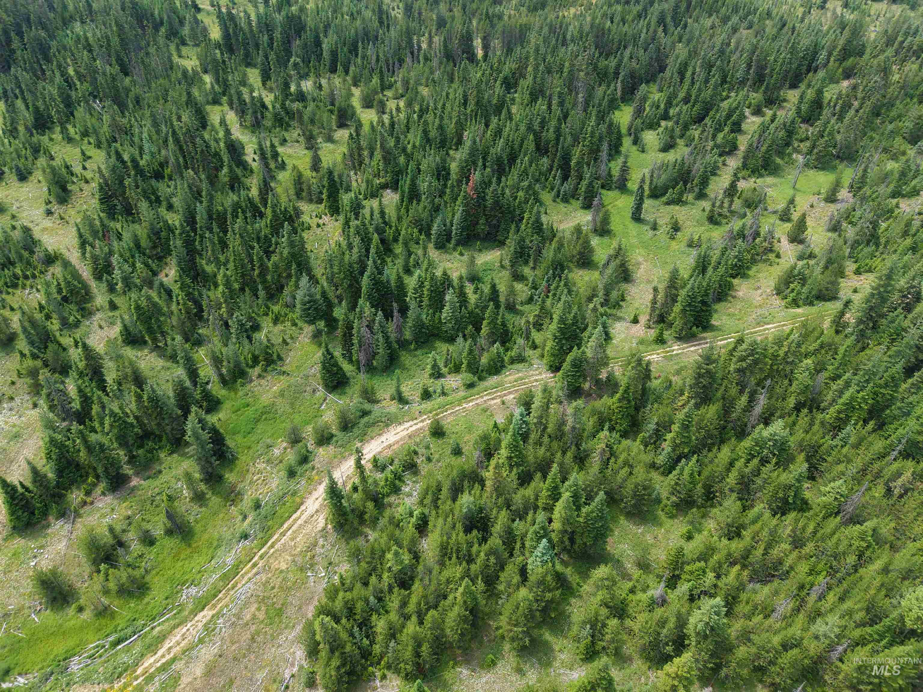 TBD Highway 11, Weippe, Idaho 83553, Land For Sale, Price $585,000, 98969140