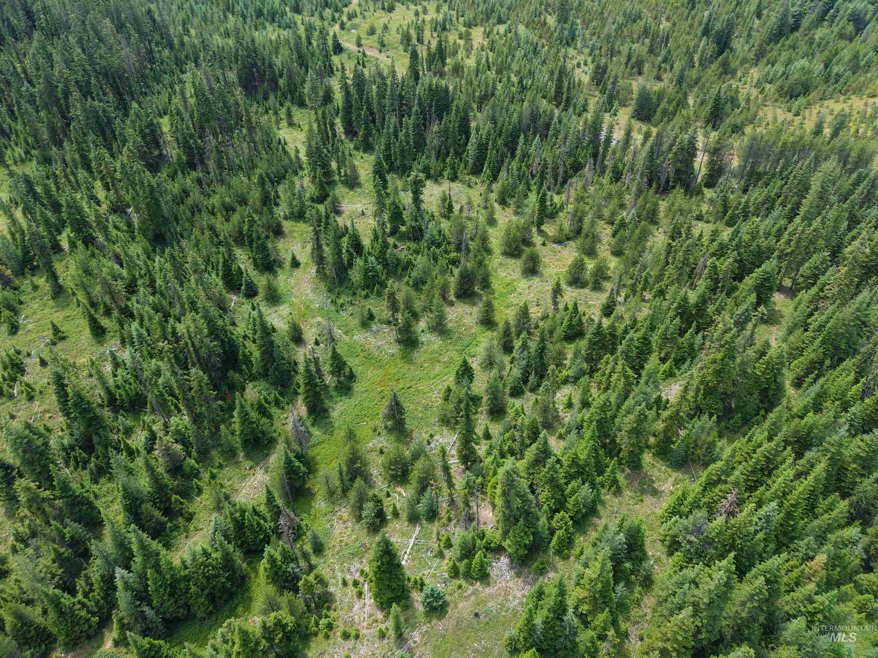 TBD Highway 11, Weippe, Idaho 83553, Land For Sale, Price $585,000, 98969140