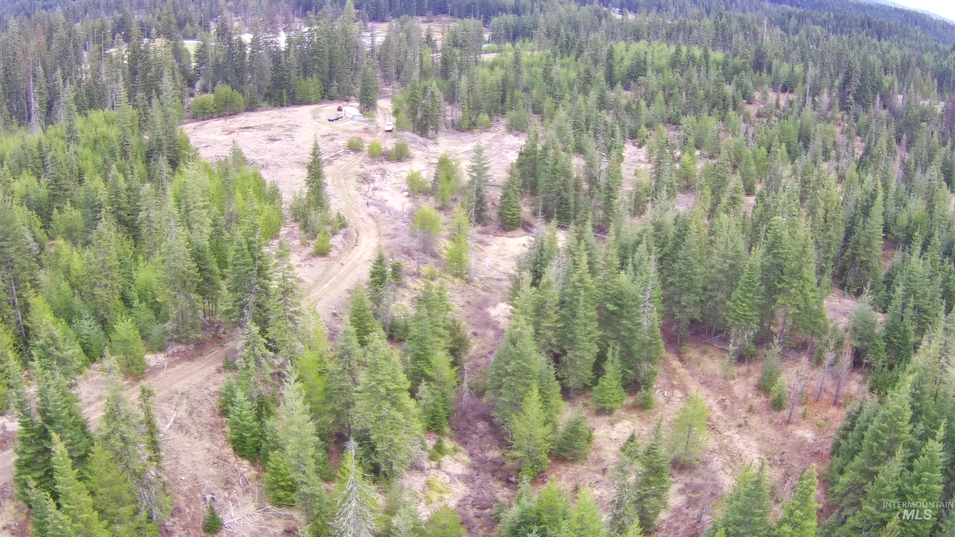 TBD Highway 11, Weippe, Idaho 83553, Land For Sale, Price $625,000, 98969140