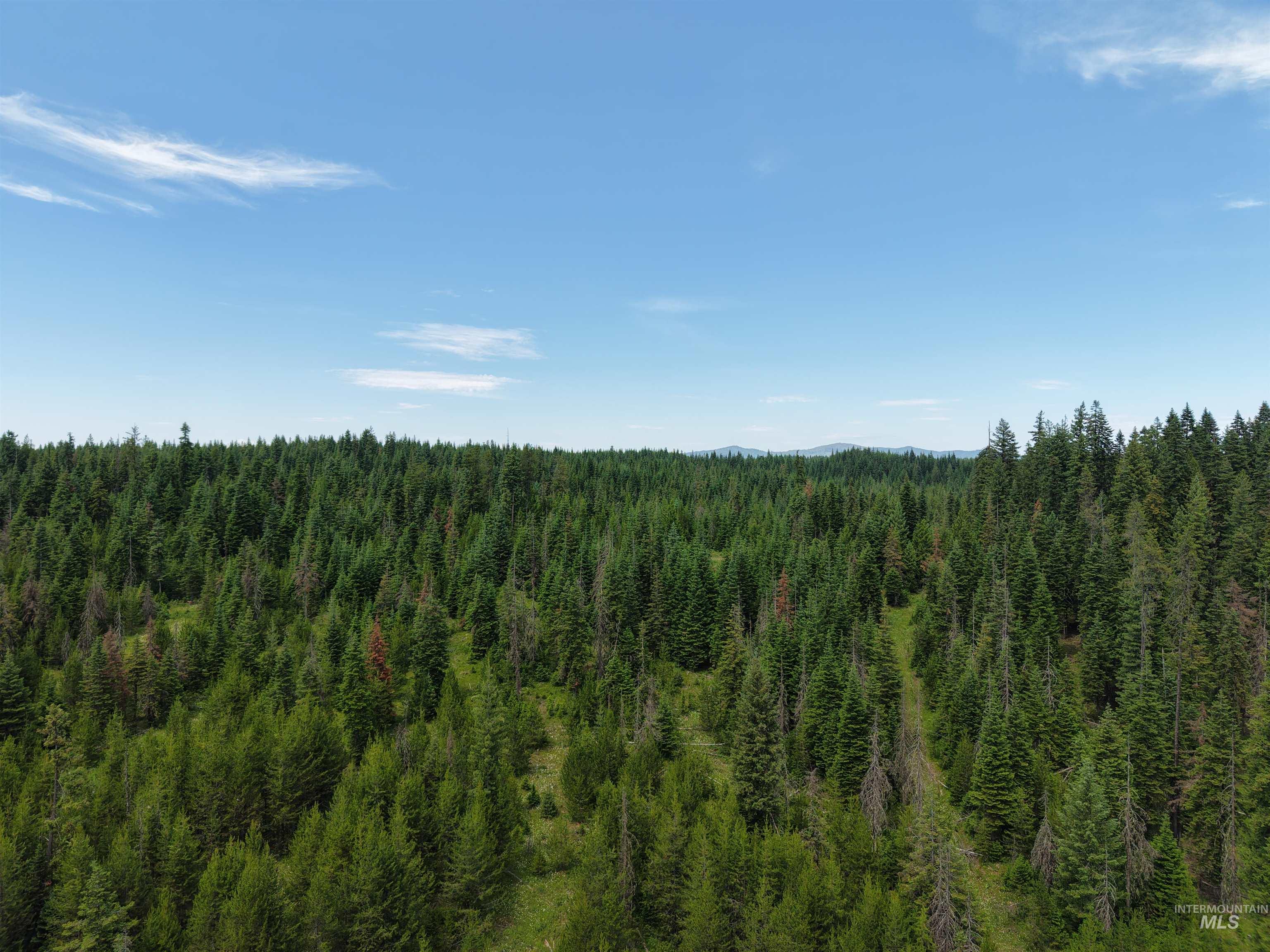 TBD Highway 11, Weippe, Idaho 83553, Land For Sale, Price $585,000, 98969140