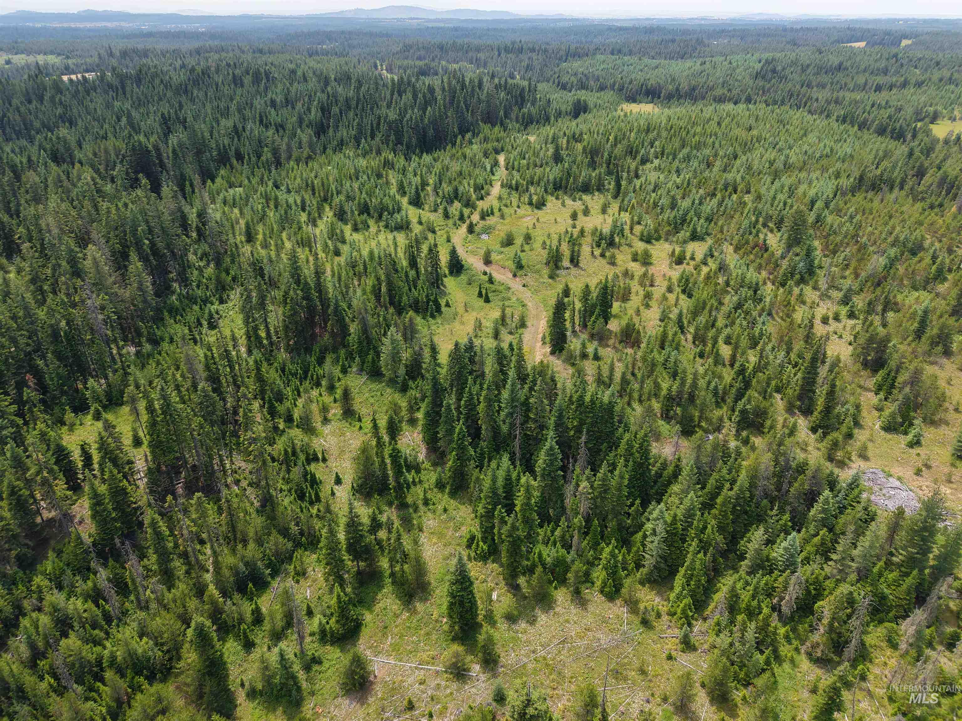 TBD Highway 11, Weippe, Idaho 83553, Land For Sale, Price $585,000, 98969140