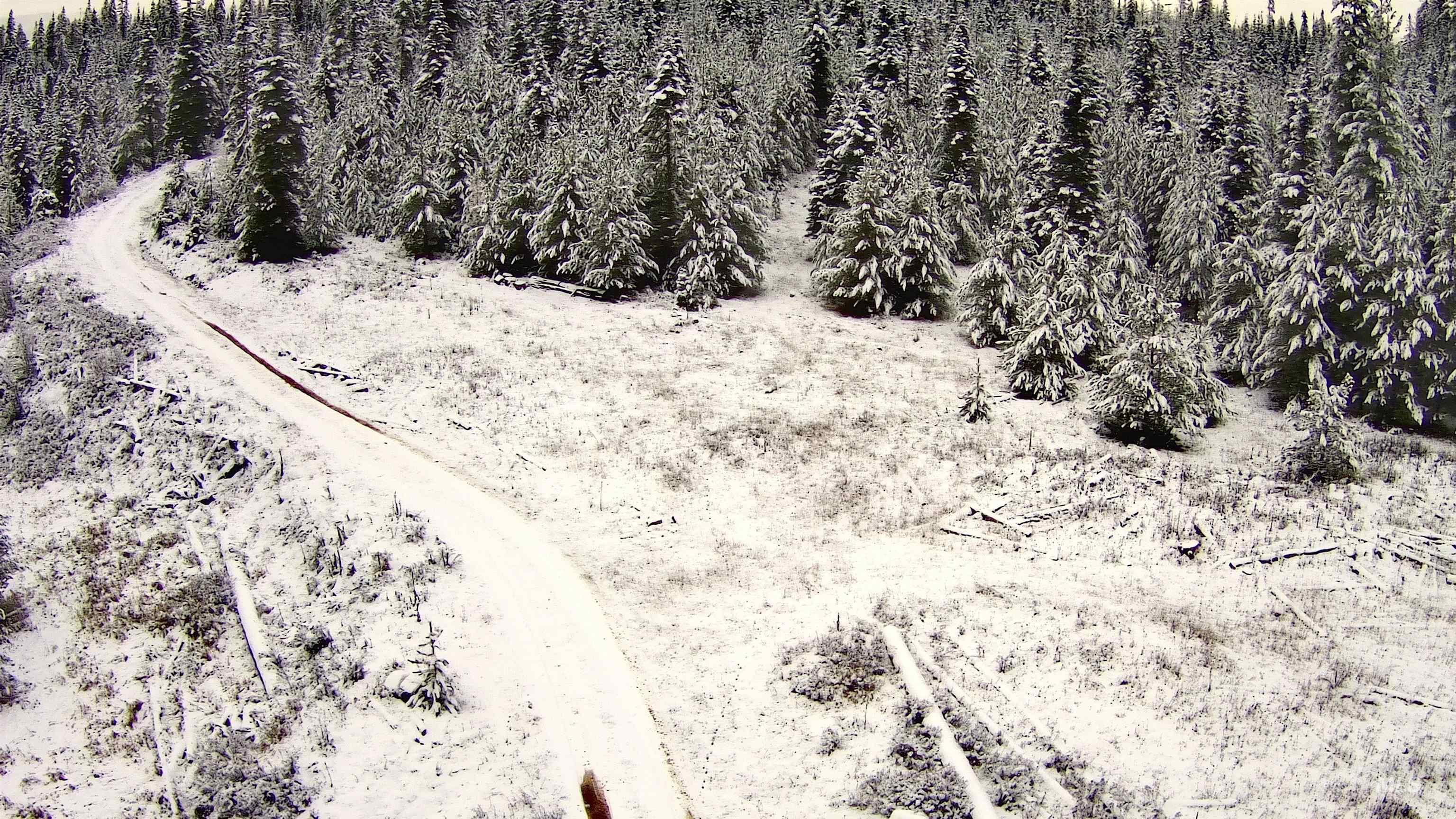 TBD Highway 11, Weippe, Idaho 83553, Land For Sale, Price $625,000, 98969140