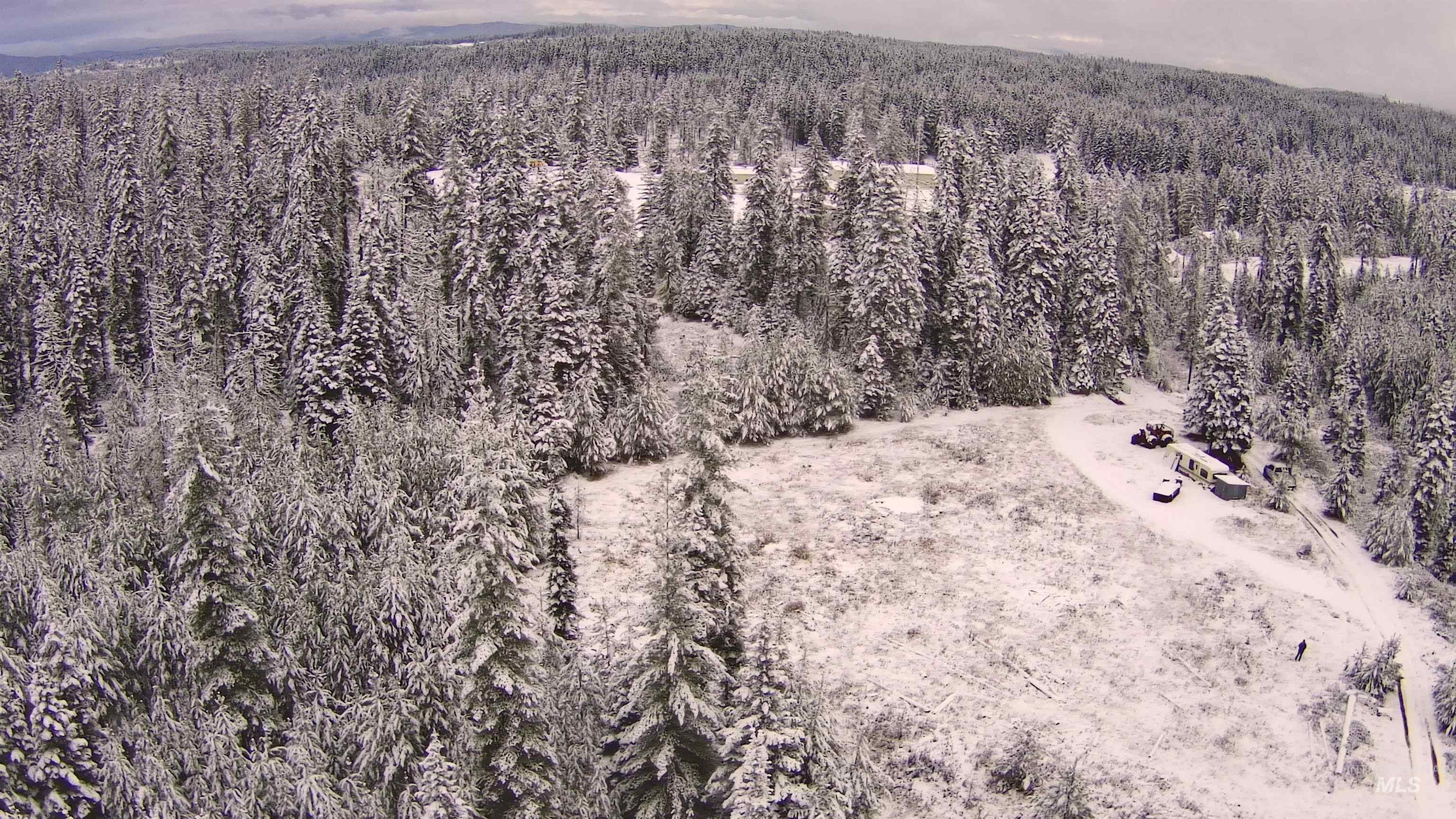 TBD Highway 11, Weippe, Idaho 83553, Land For Sale, Price $625,000, 98969140