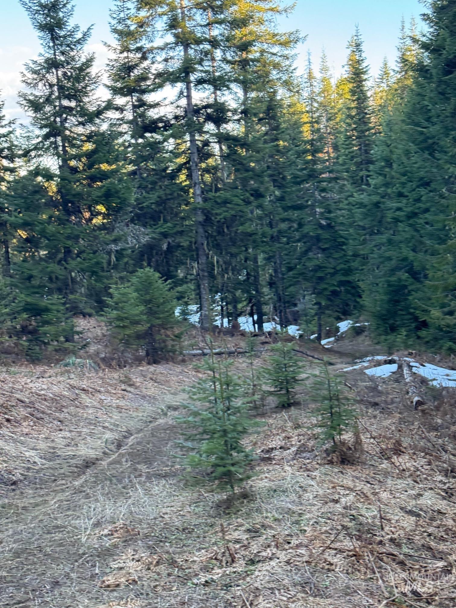 TBD Highway 11, Weippe, Idaho 83553, Land For Sale, Price $585,000, 98969140