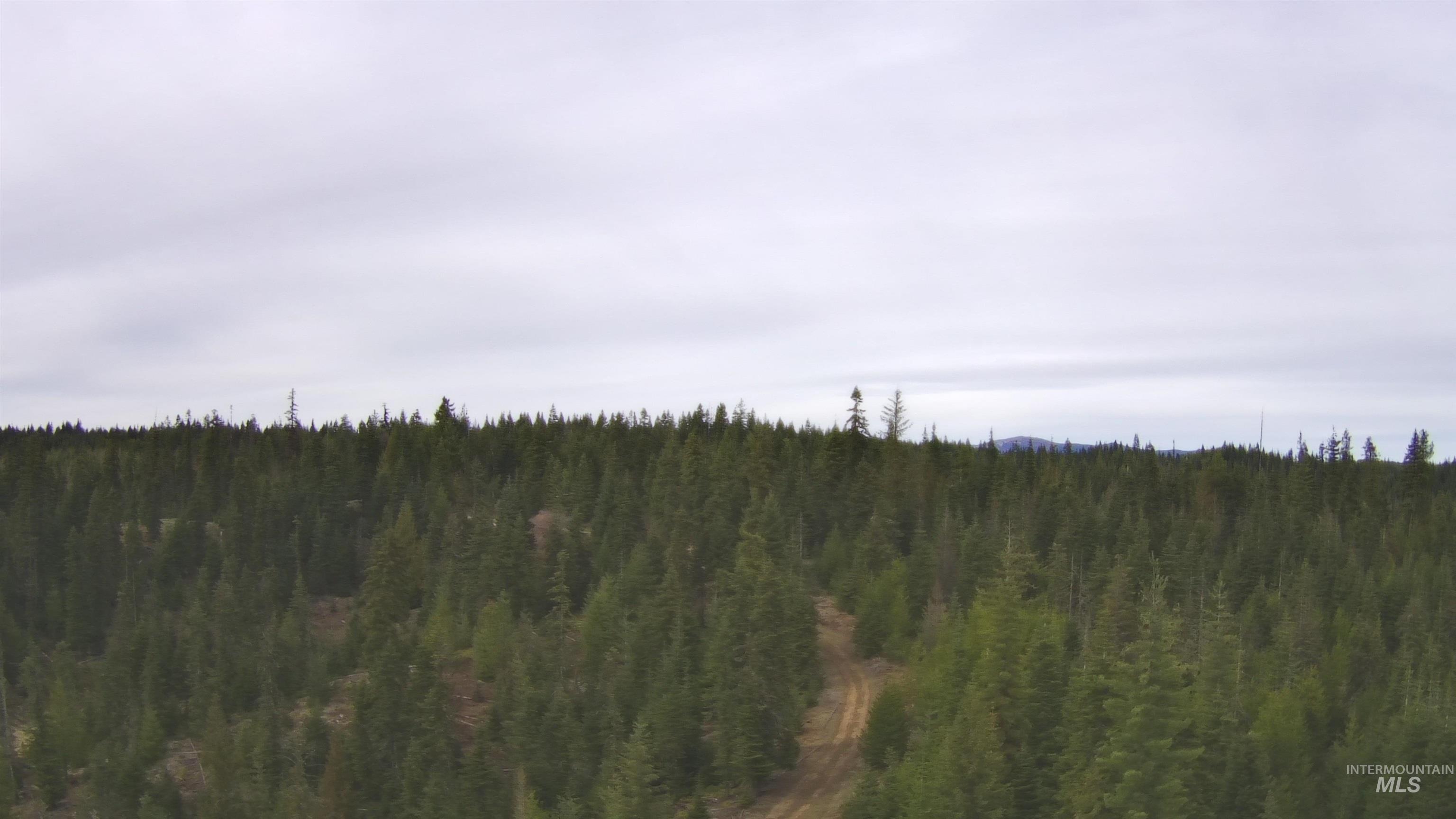 TBD Highway 11, Weippe, Idaho 83553, Land For Sale, Price $625,000, 98969140