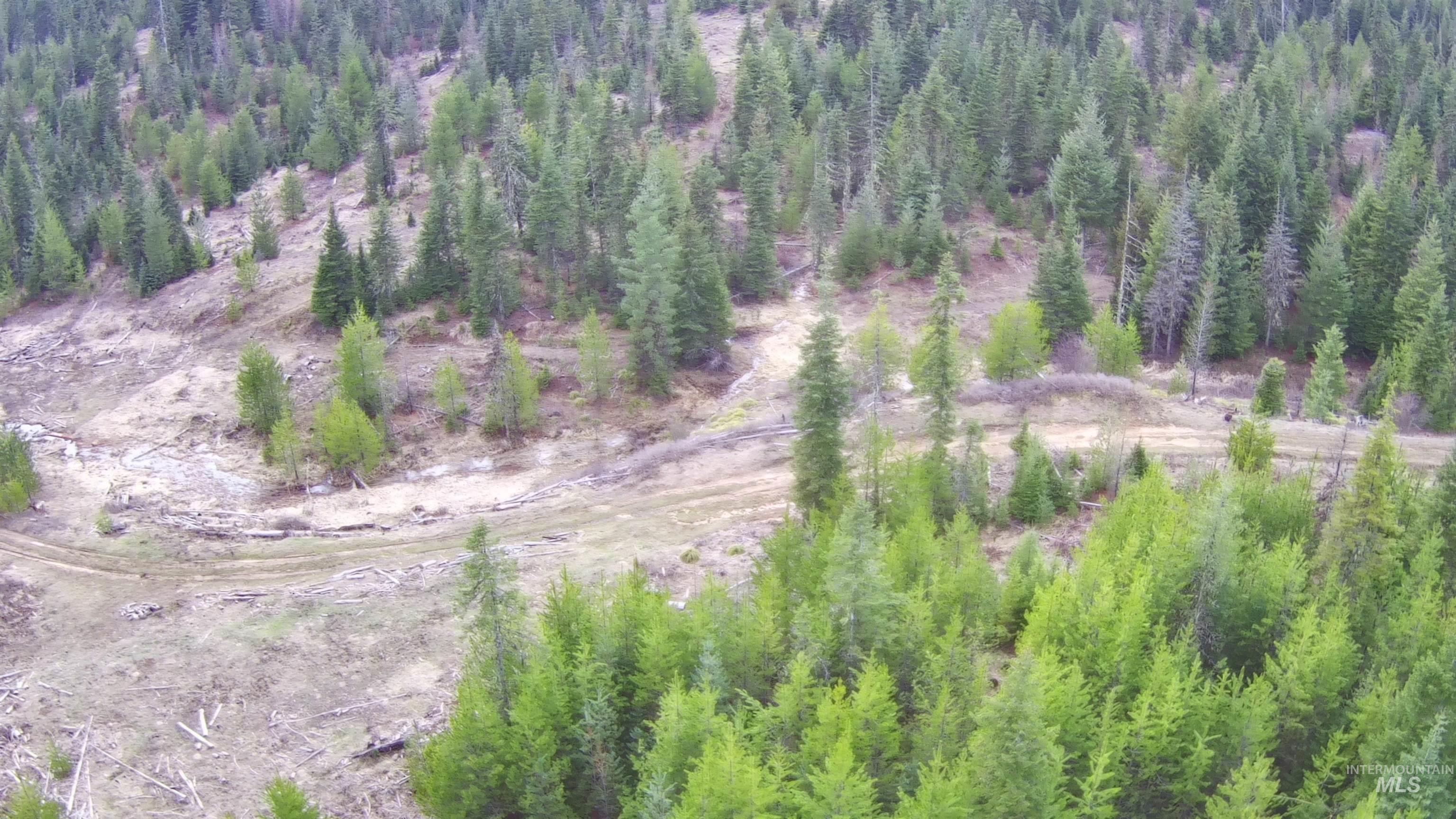 TBD Highway 11, Weippe, Idaho 83553, Land For Sale, Price $625,000, 98969140