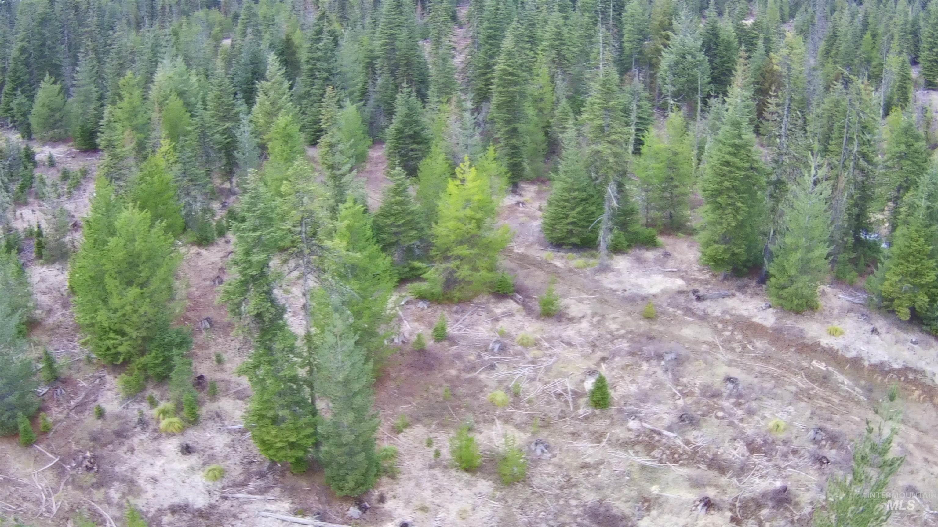TBD Highway 11, Weippe, Idaho 83553, Land For Sale, Price $625,000, 98969140