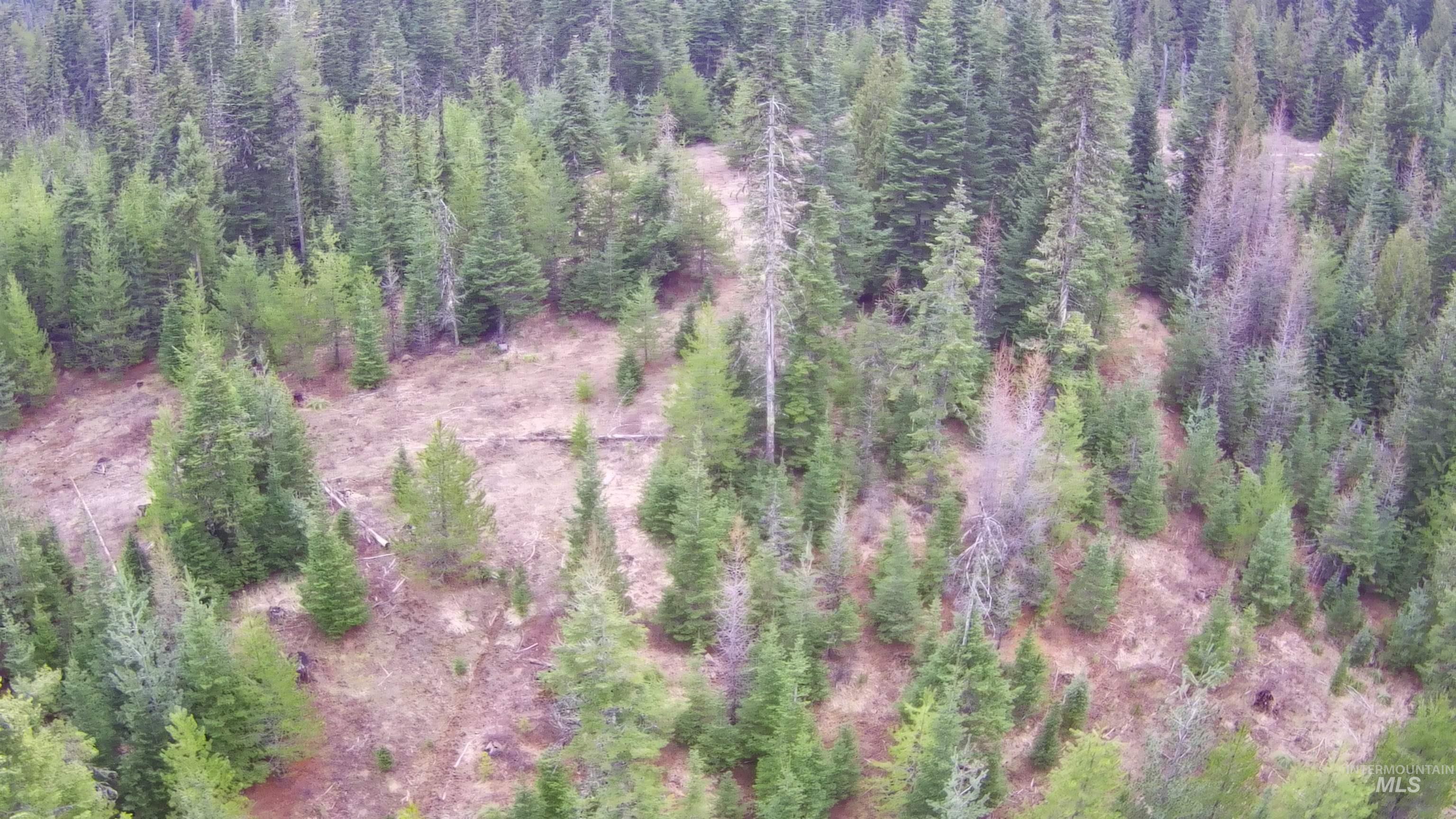 TBD Highway 11, Weippe, Idaho 83553, Land For Sale, Price $625,000, 98969140