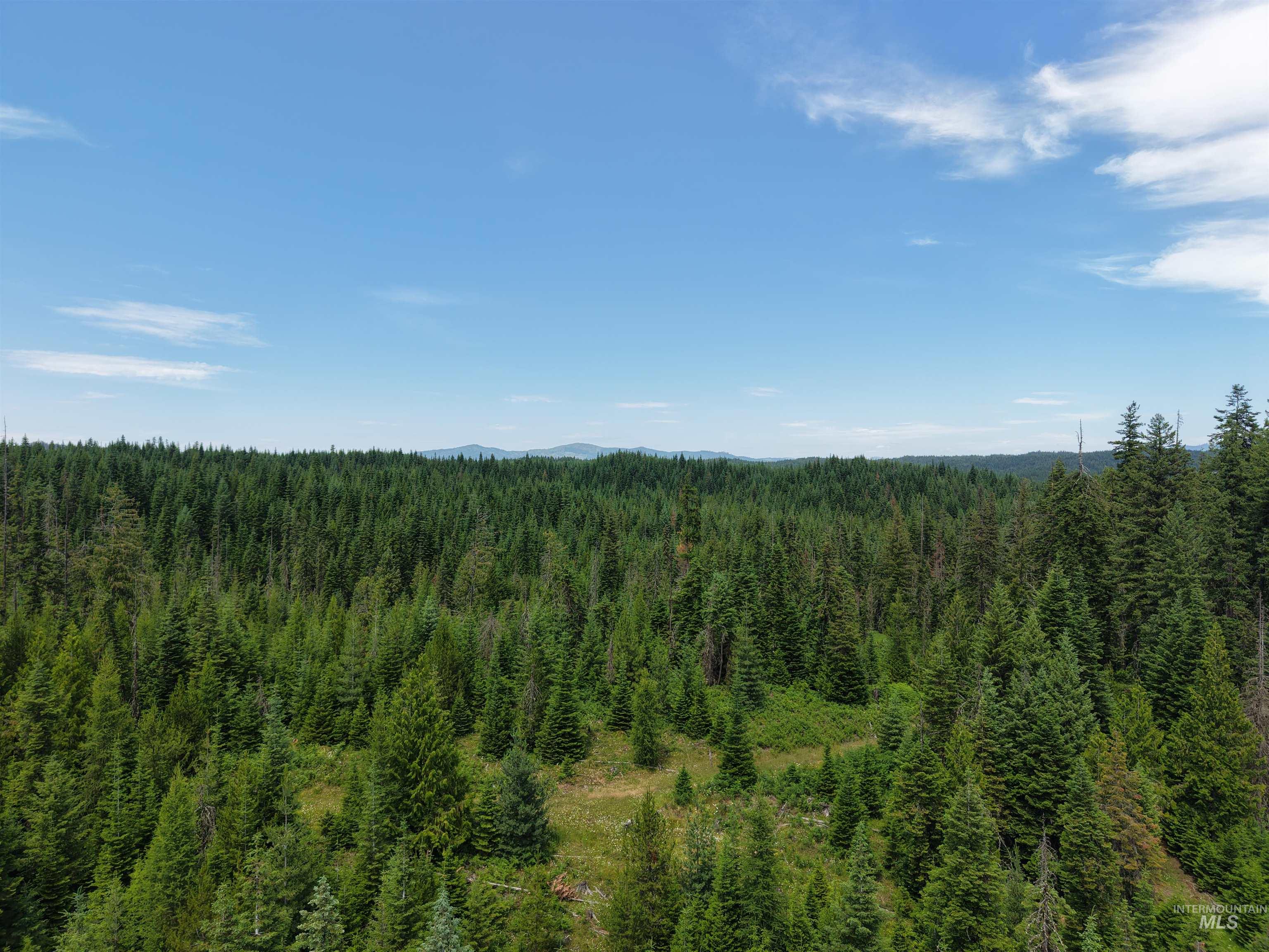 TBD Highway 11, Weippe, Idaho 83553, Land For Sale, Price $585,000, 98969140