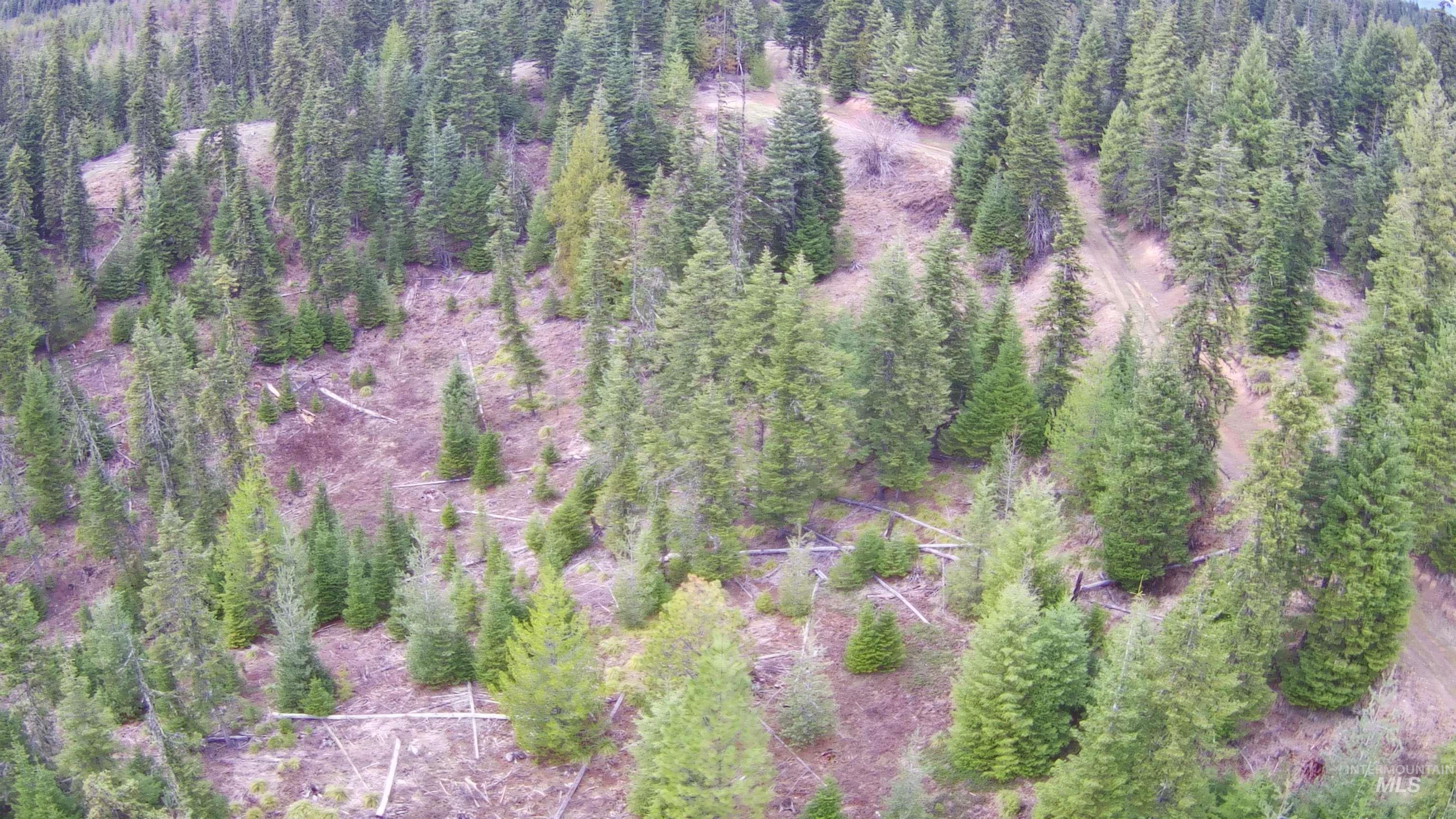 TBD Highway 11, Weippe, Idaho 83553, Land For Sale, Price $625,000, 98969140