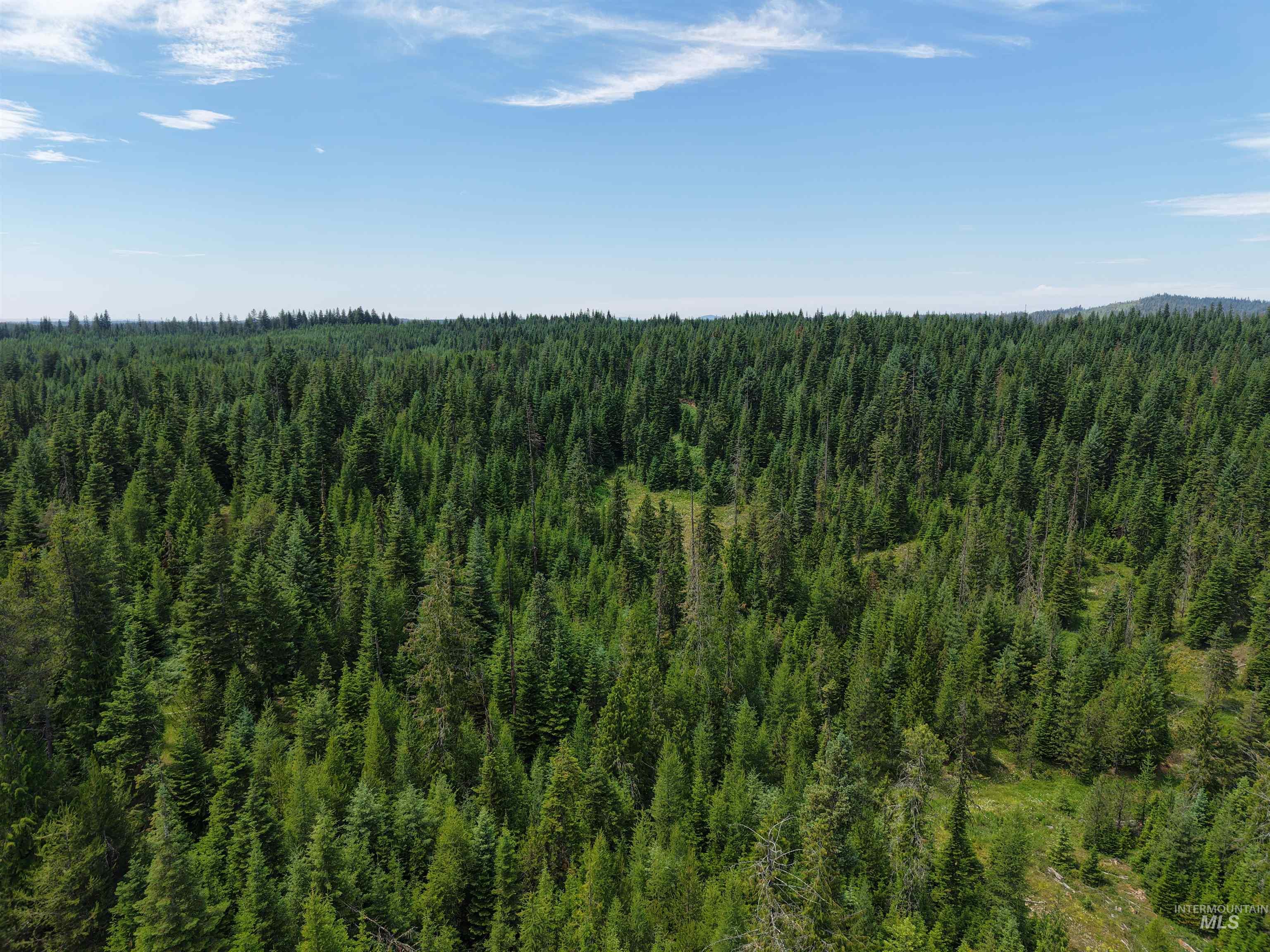 TBD Highway 11, Weippe, Idaho 83553, Land For Sale, Price $585,000, 98969140