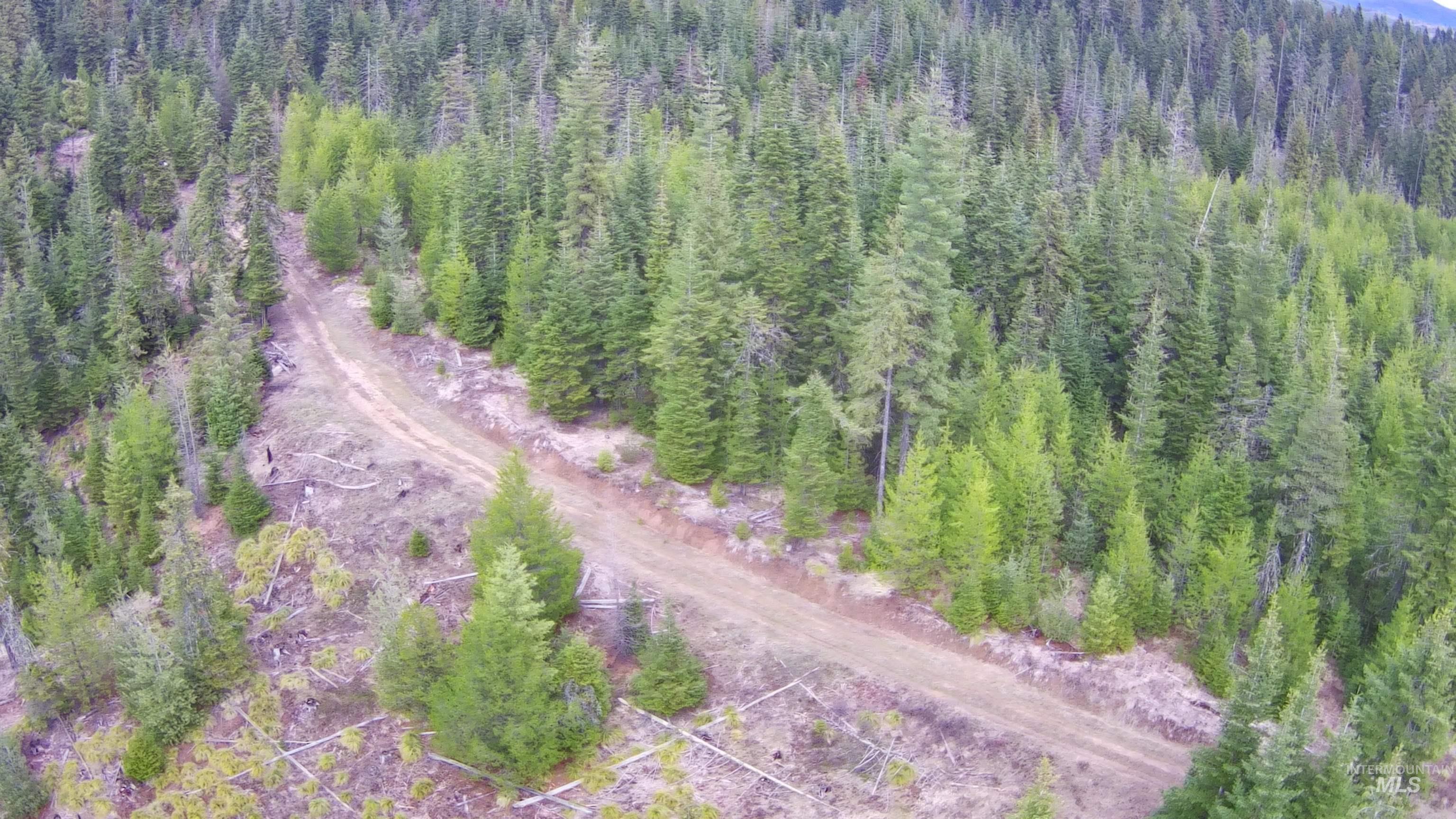 TBD Highway 11, Weippe, Idaho 83553, Land For Sale, Price $625,000, 98969140