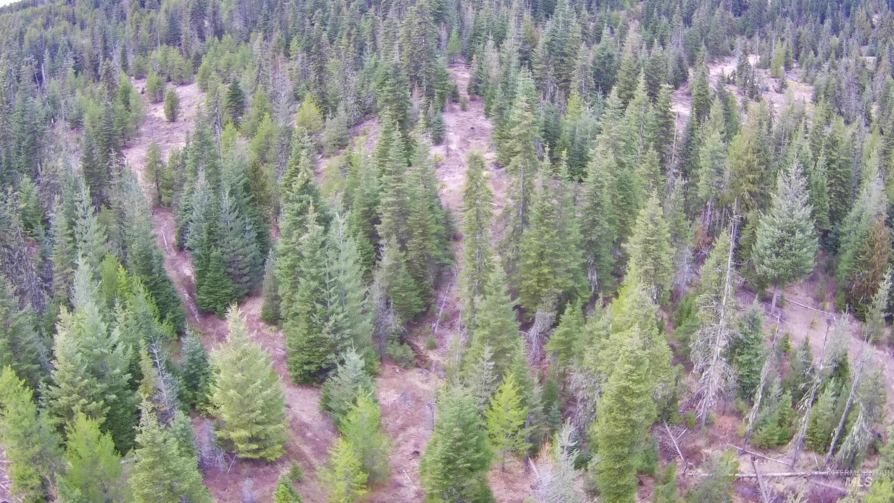 TBD Highway 11, Weippe, Idaho 83553, Land For Sale, Price $625,000, 98969140