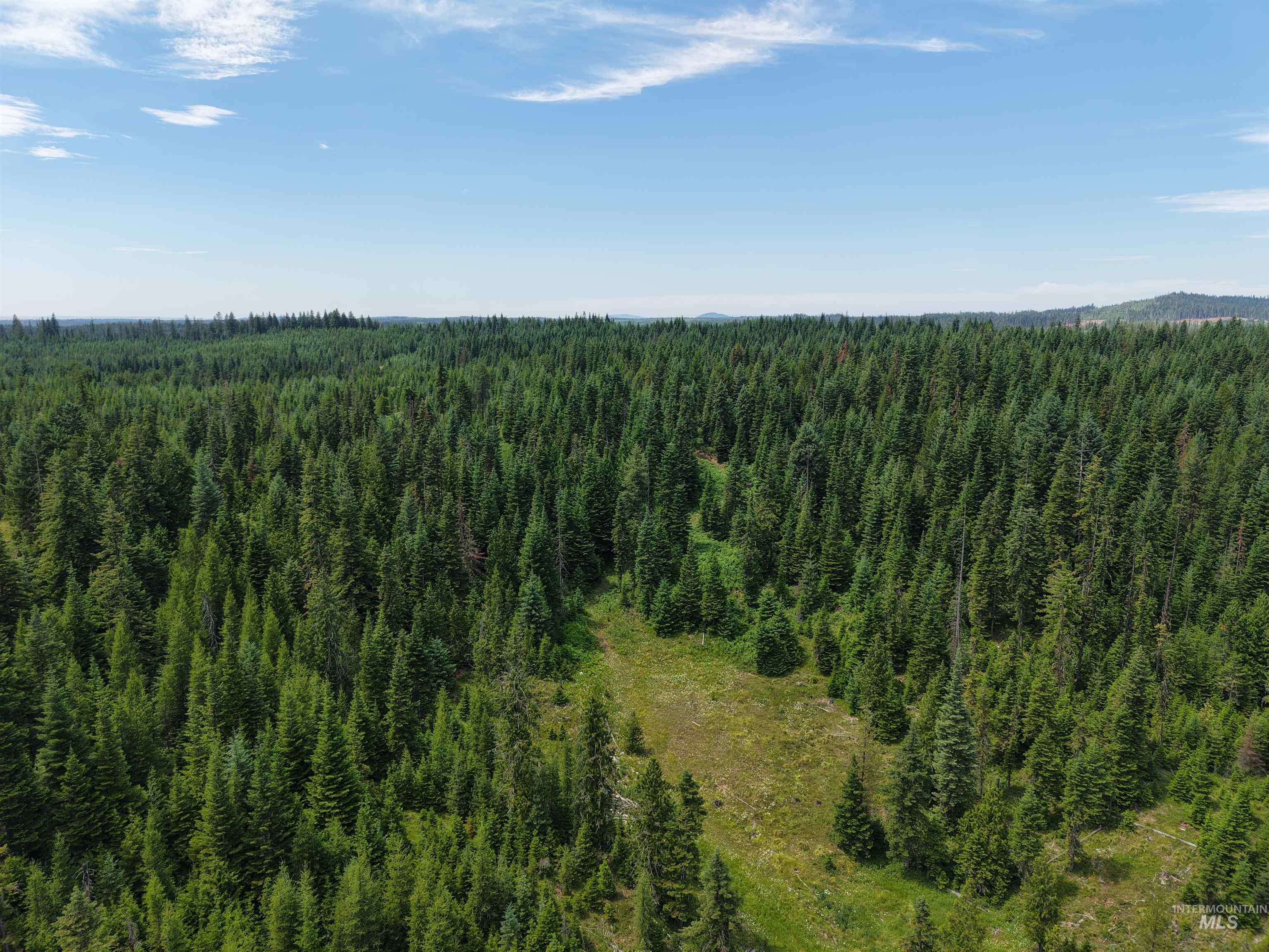 TBD Highway 11, Weippe, Idaho 83553, Land For Sale, Price $585,000, 98969140