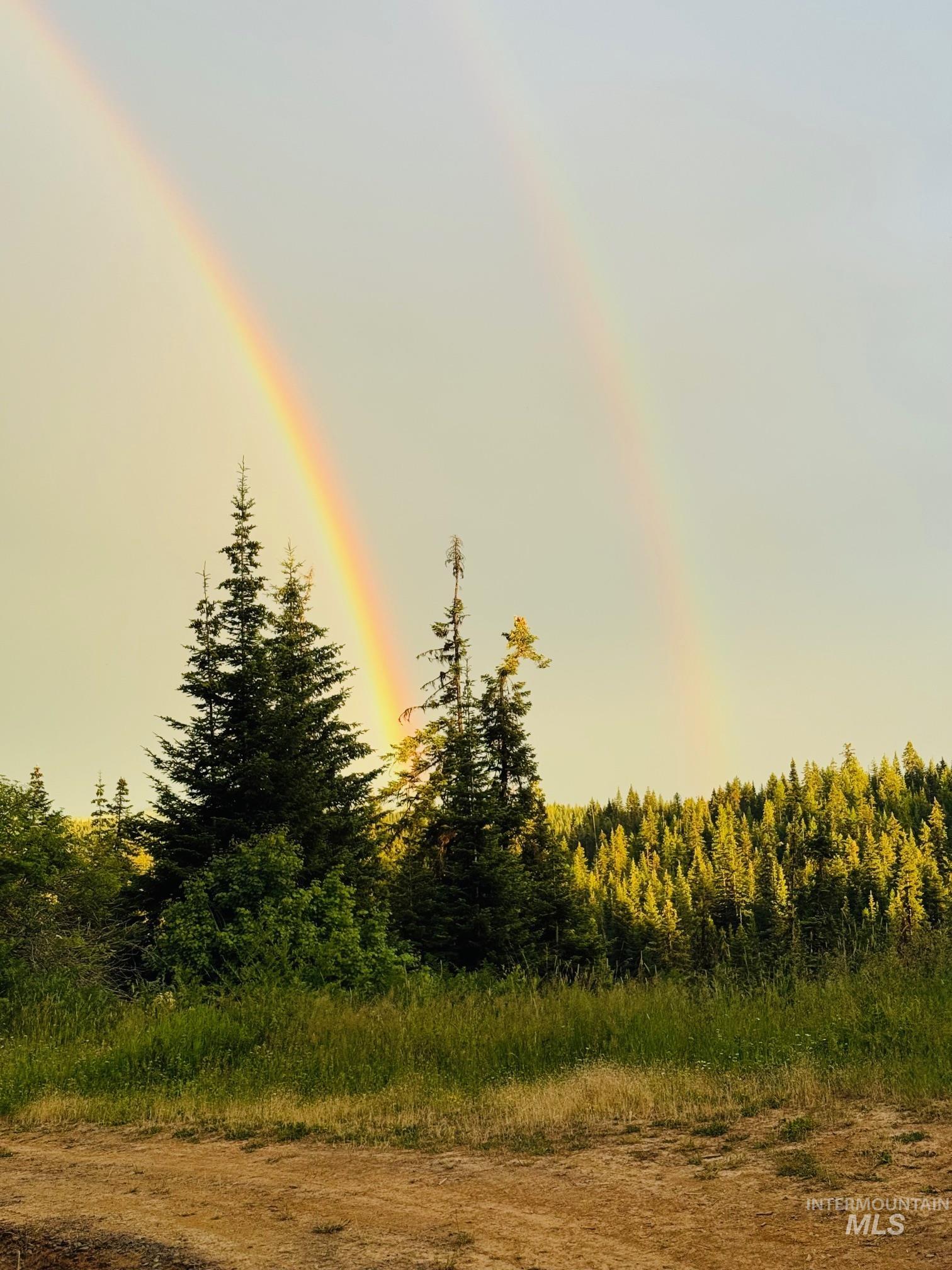 TBD Highway 11, Weippe, Idaho 83553, Land For Sale, Price $649,000,MLS 98969140