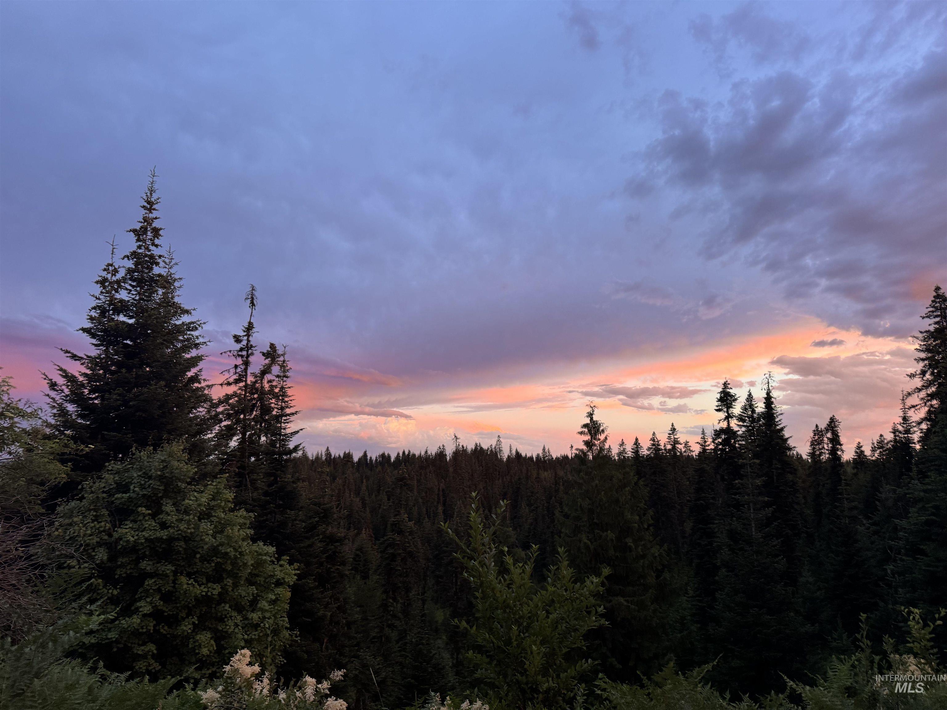 TBD Highway 11, Weippe, Idaho 83553, Land For Sale, Price $625,000, 98969140