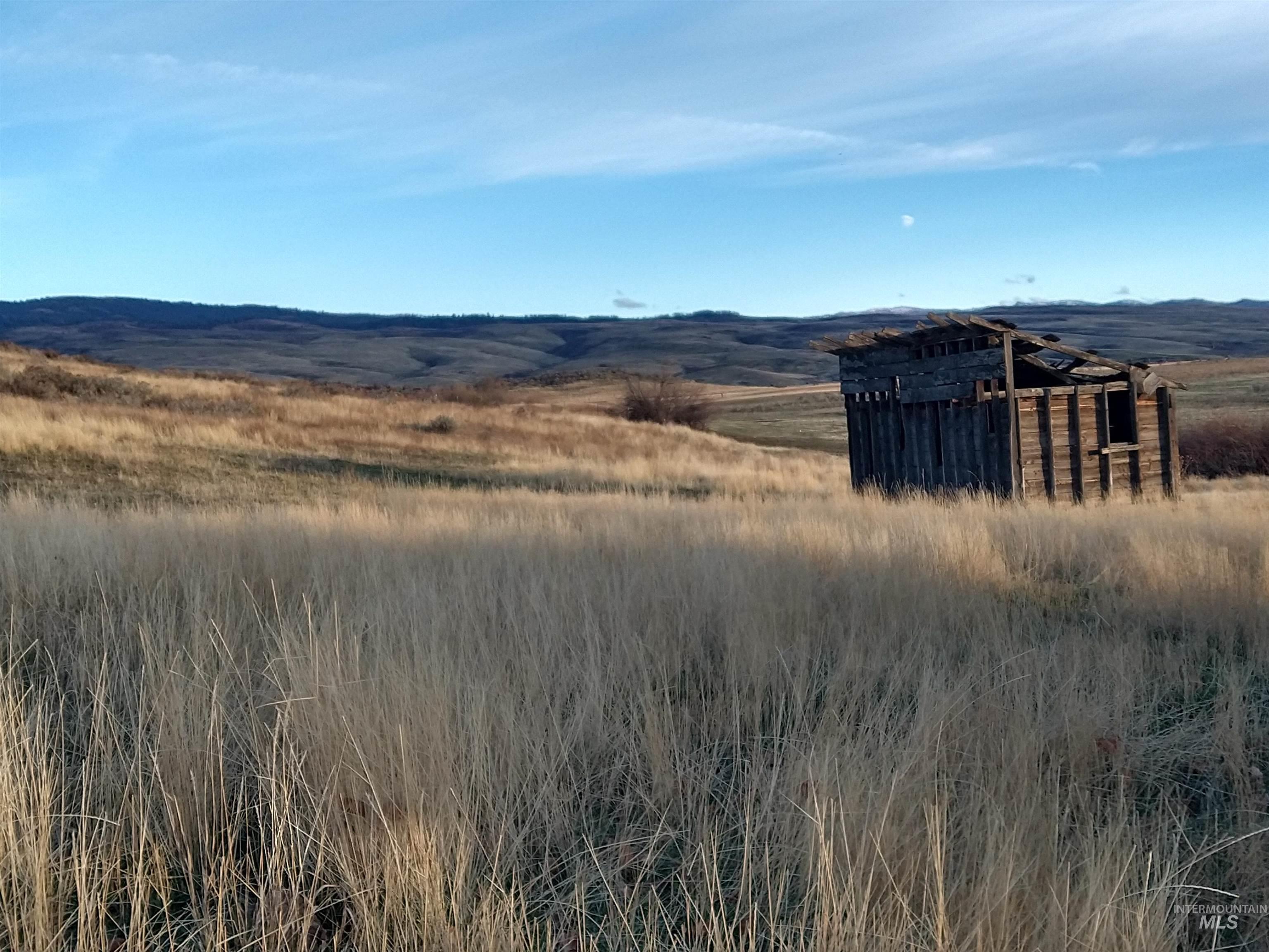 TBD Whiteman Ln, Indian Valley, Idaho 83632, Land For Sale, Price $299,000,MLS 98969161