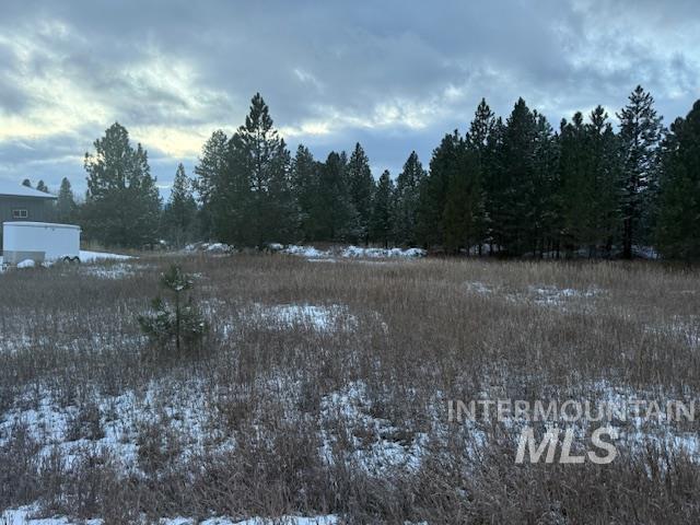 162 Fox Lane, McCall, Idaho 83638, Land For Sale, Price $250,000,MLS 98969186