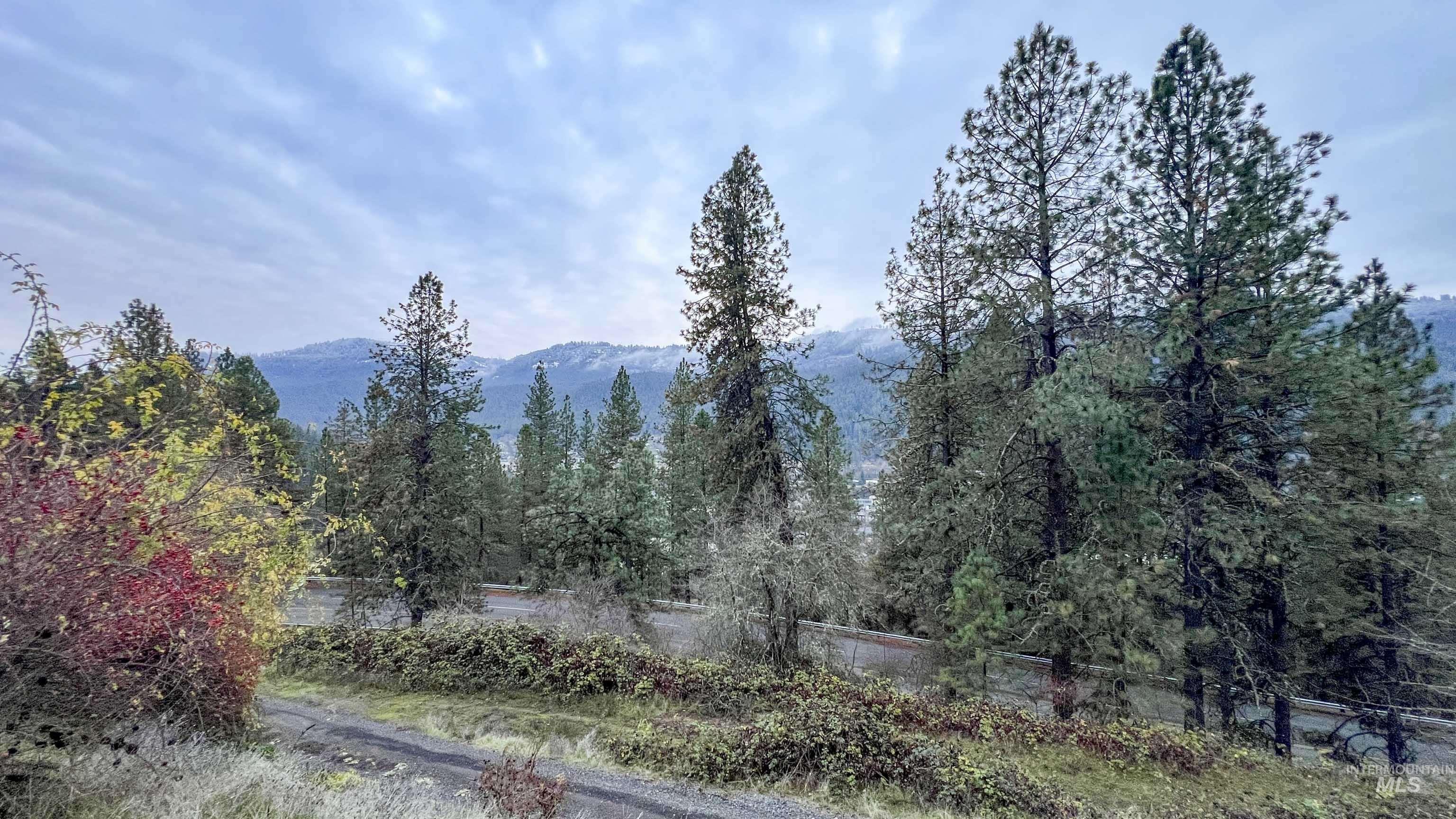 719 Viewpoint Rd, Ahsahka, Idaho 83520, 2 Bedrooms, 1 Bathroom, Residential For Sale, Price $415,000,MLS 98969193