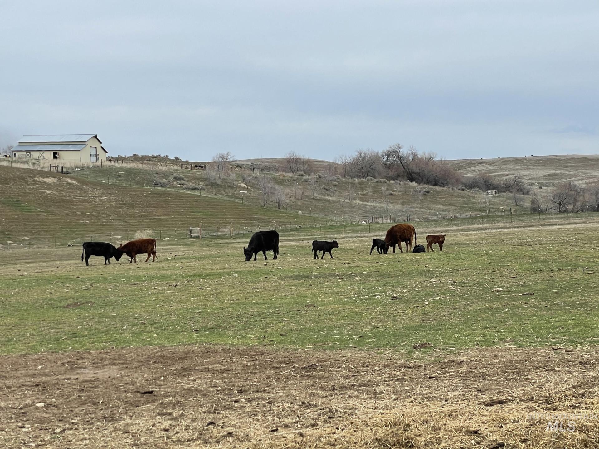 11752 Old Saw Mill Ln, Middleton, Idaho 83644, Land For Sale, Price $1,270,000,MLS 98969214