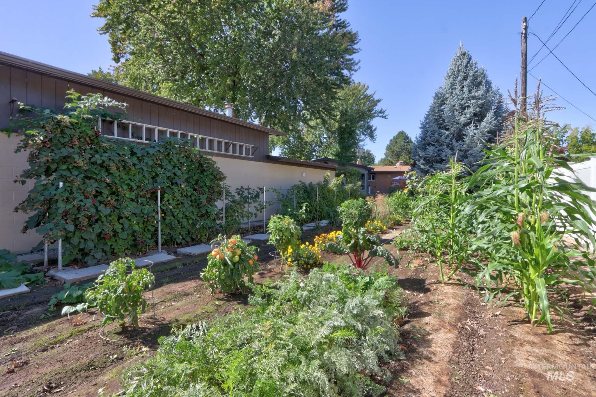 2106 N Cribbens Street, Boise, Idaho 83713, 4 Bedrooms, 3.5 Bathrooms, Residential For Sale, Price $899,000,MLS 98969222