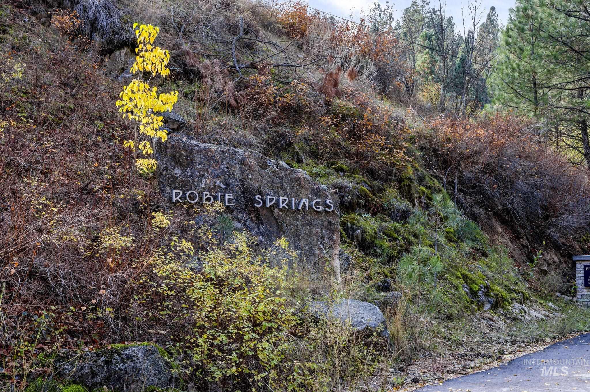 87 Robie Springs Road, Boise, Idaho 83716, Land For Sale, Price $675,000,MLS 98969251