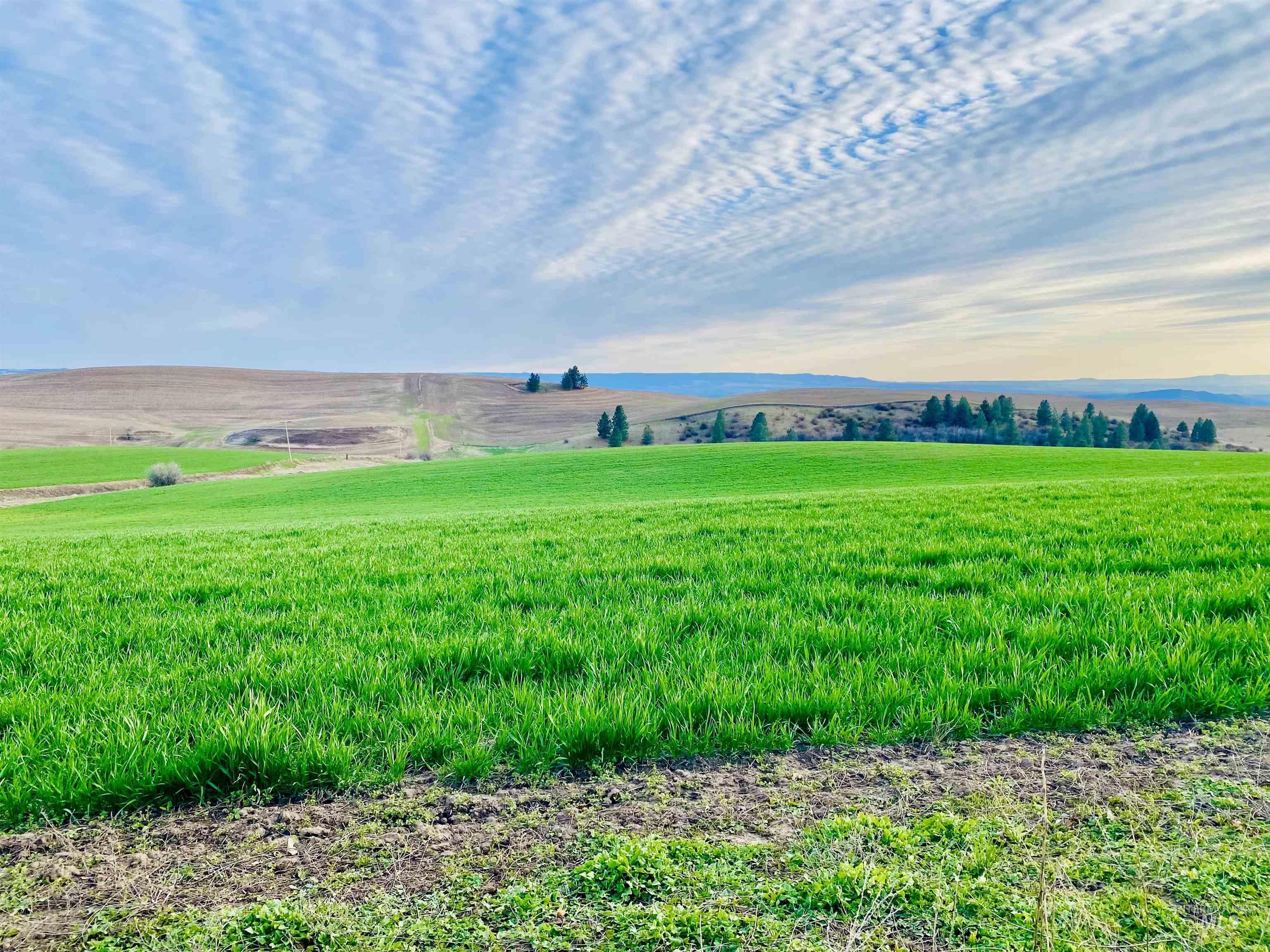 16078 Hoffman Road, Kendrick, Idaho 83537, 3 Bedrooms, 1 Bathroom, Residential For Sale, Price $545,000,MLS 98969269