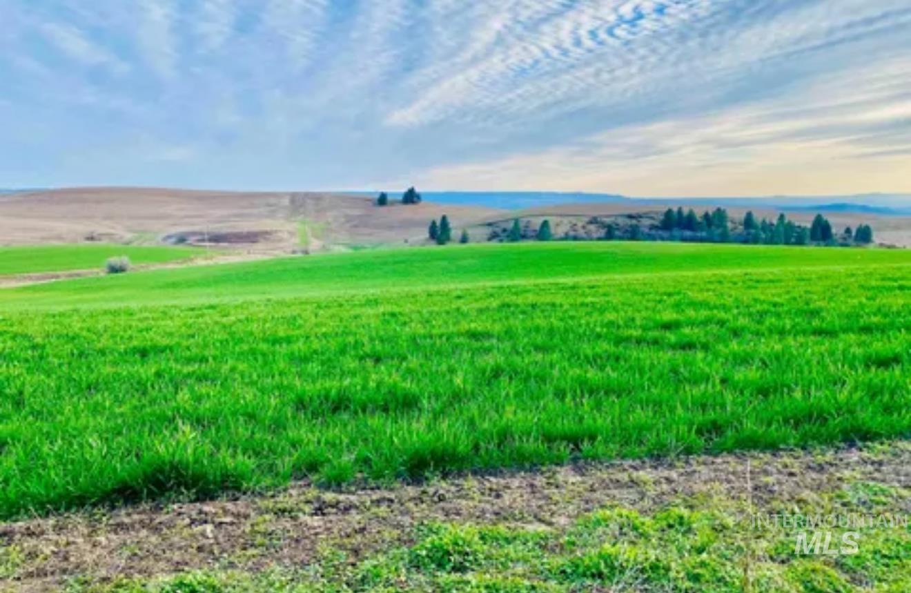 16078 Hoffman Road, Kendrick, Idaho 83537, 3 Bedrooms, 1 Bathroom, Residential For Sale, Price $545,000,MLS 98969269