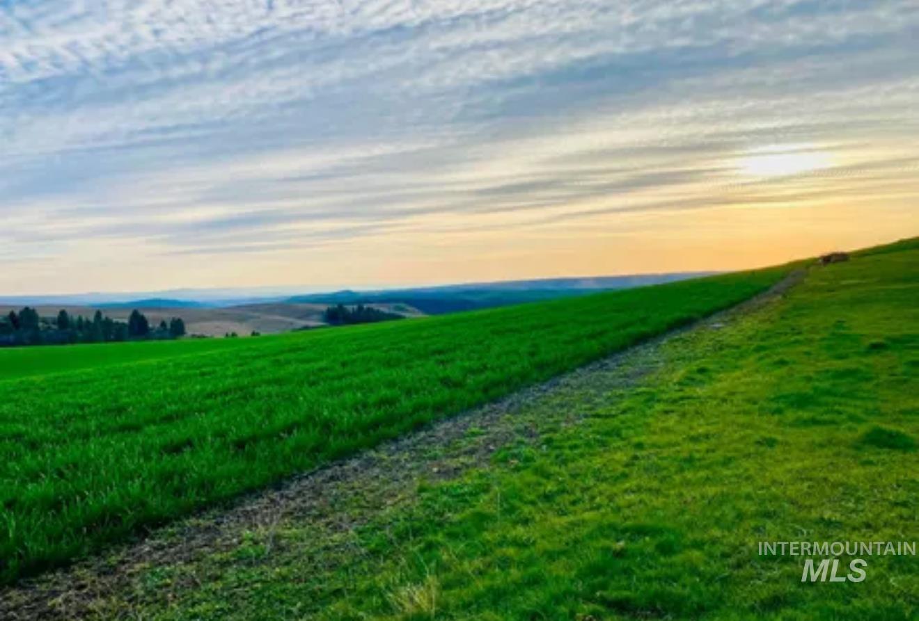 16078 Hoffman Road, Kendrick, Idaho 83537, 3 Bedrooms, 1 Bathroom, Residential For Sale, Price $545,000,MLS 98969269