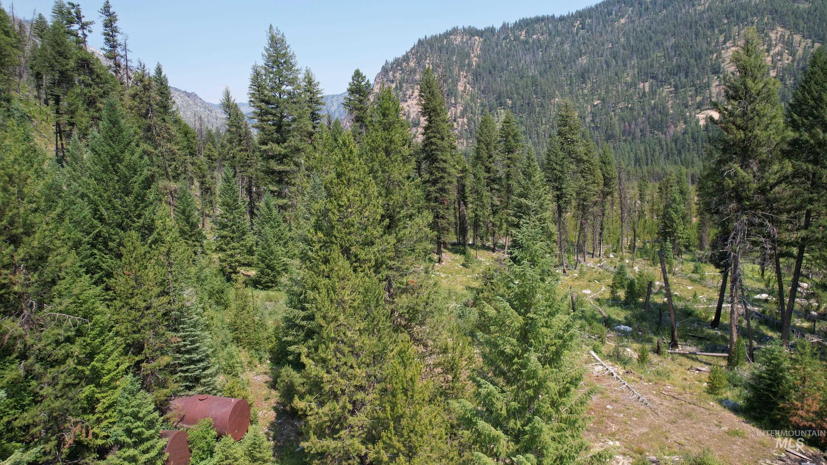 TBD Johnson Creek Road, Yellow Pine, Idaho 83677, Land For Sale, Price $749,000,MLS 98969368