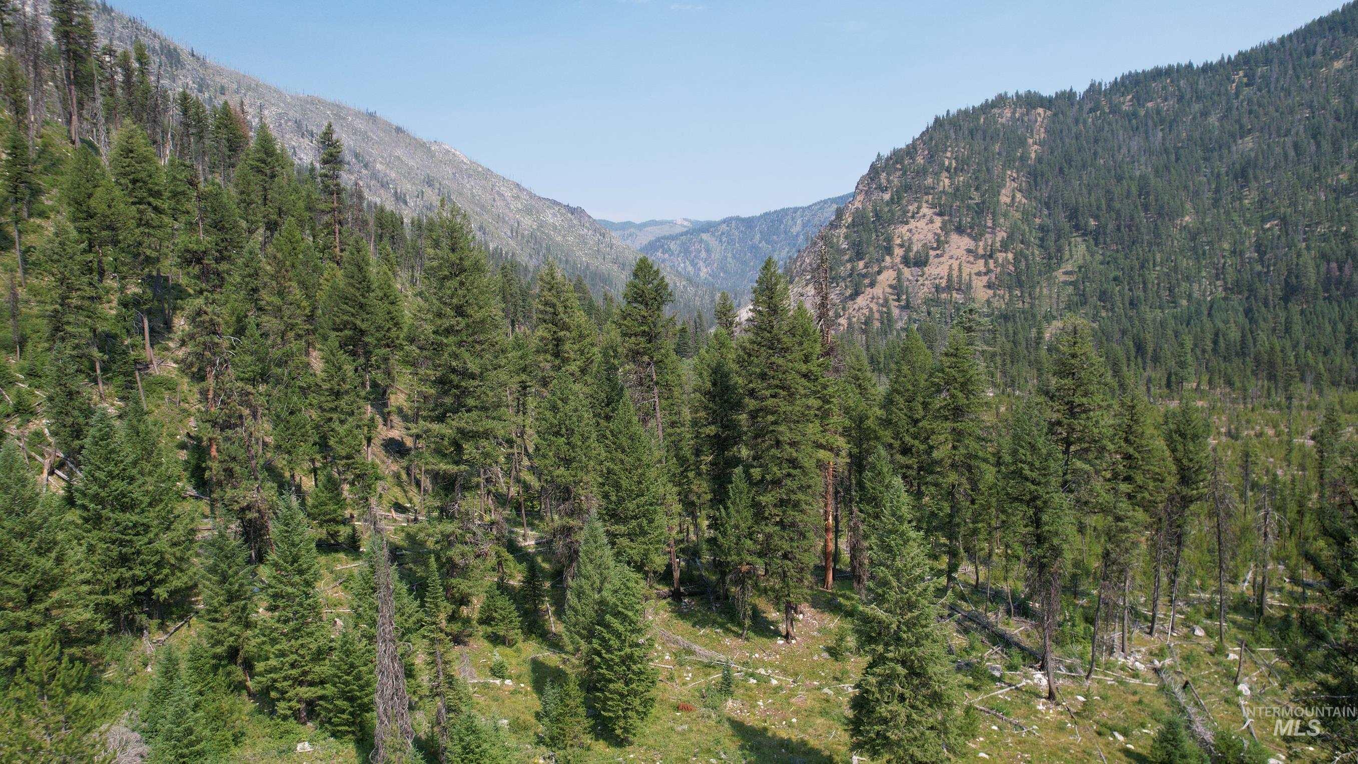 TBD Johnson Creek Road, Yellow Pine, Idaho 83677, Land For Sale, Price $749,000,MLS 98969368