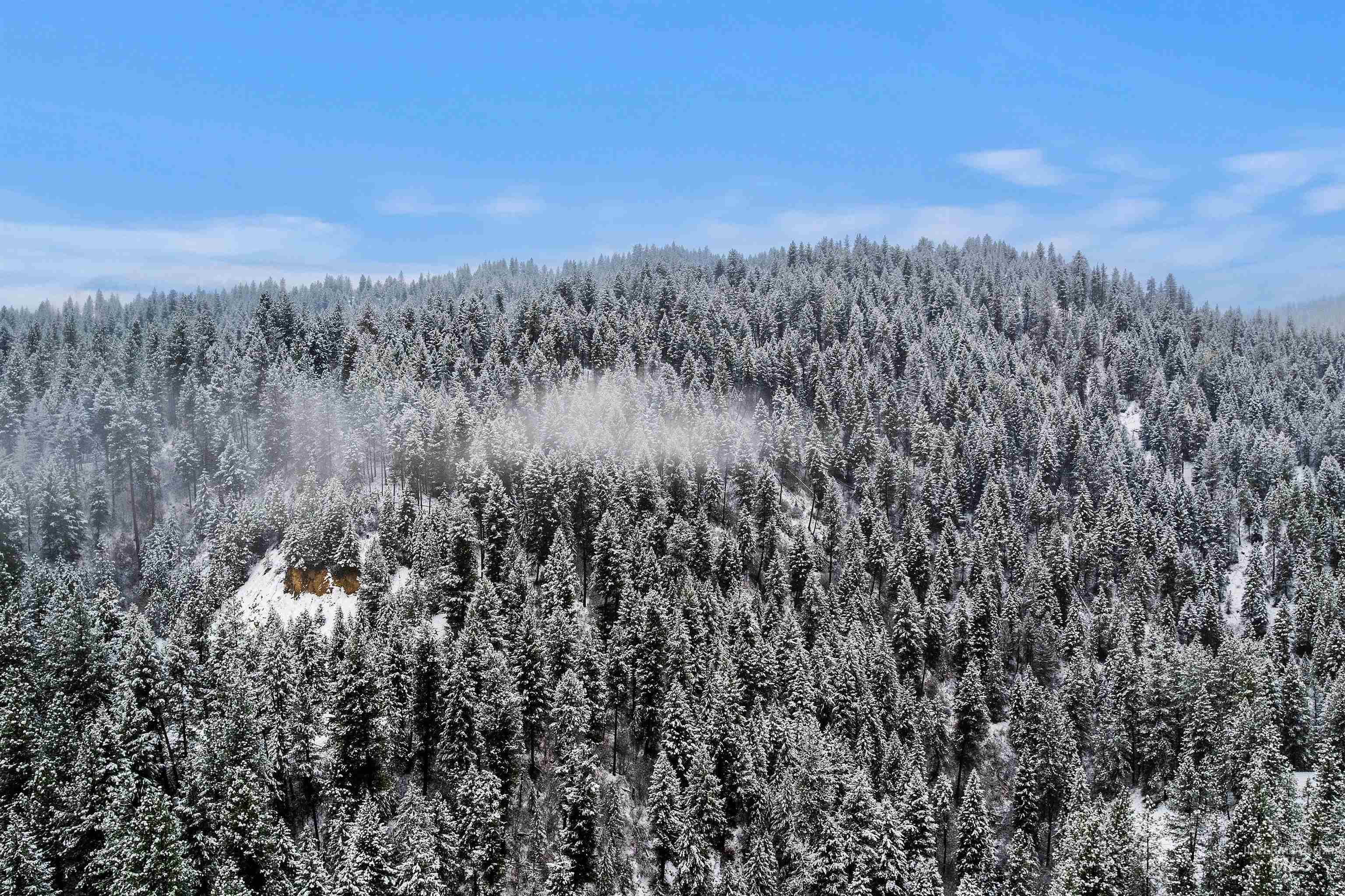 9 Crick Rd, Garden Valley, Idaho 83622-5129, 3 Bedrooms, 3.5 Bathrooms, Residential For Sale, Price $680,000,MLS 98969380