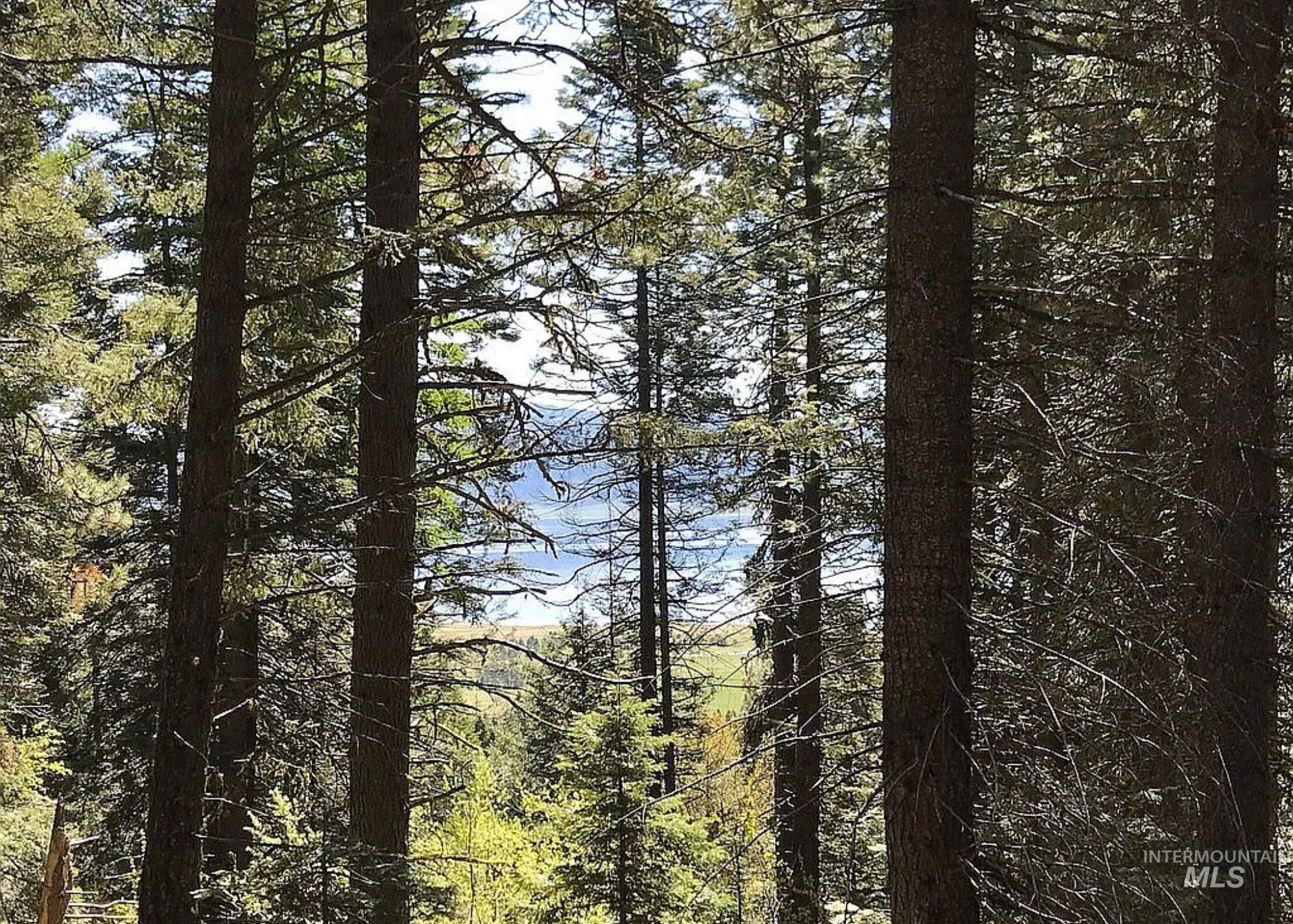 66 Hillside Trail, Donnelly, Idaho 83615, Land For Sale, Price $275,000,MLS 98969384