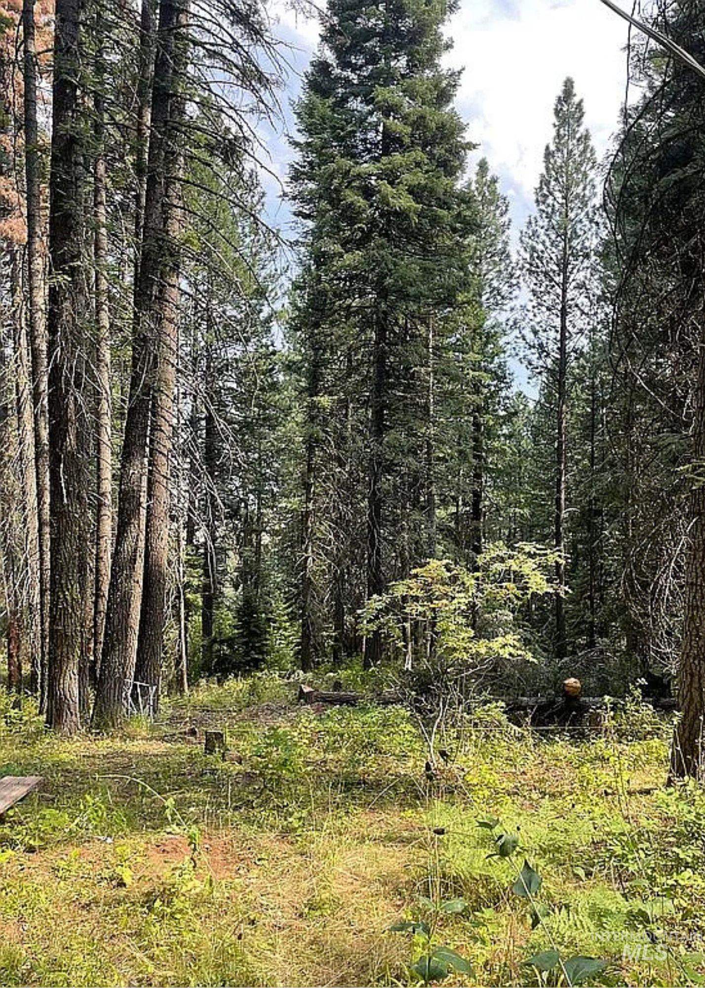 66 Hillside Trail, Donnelly, Idaho 83615, Land For Sale, Price $275,000,MLS 98969384