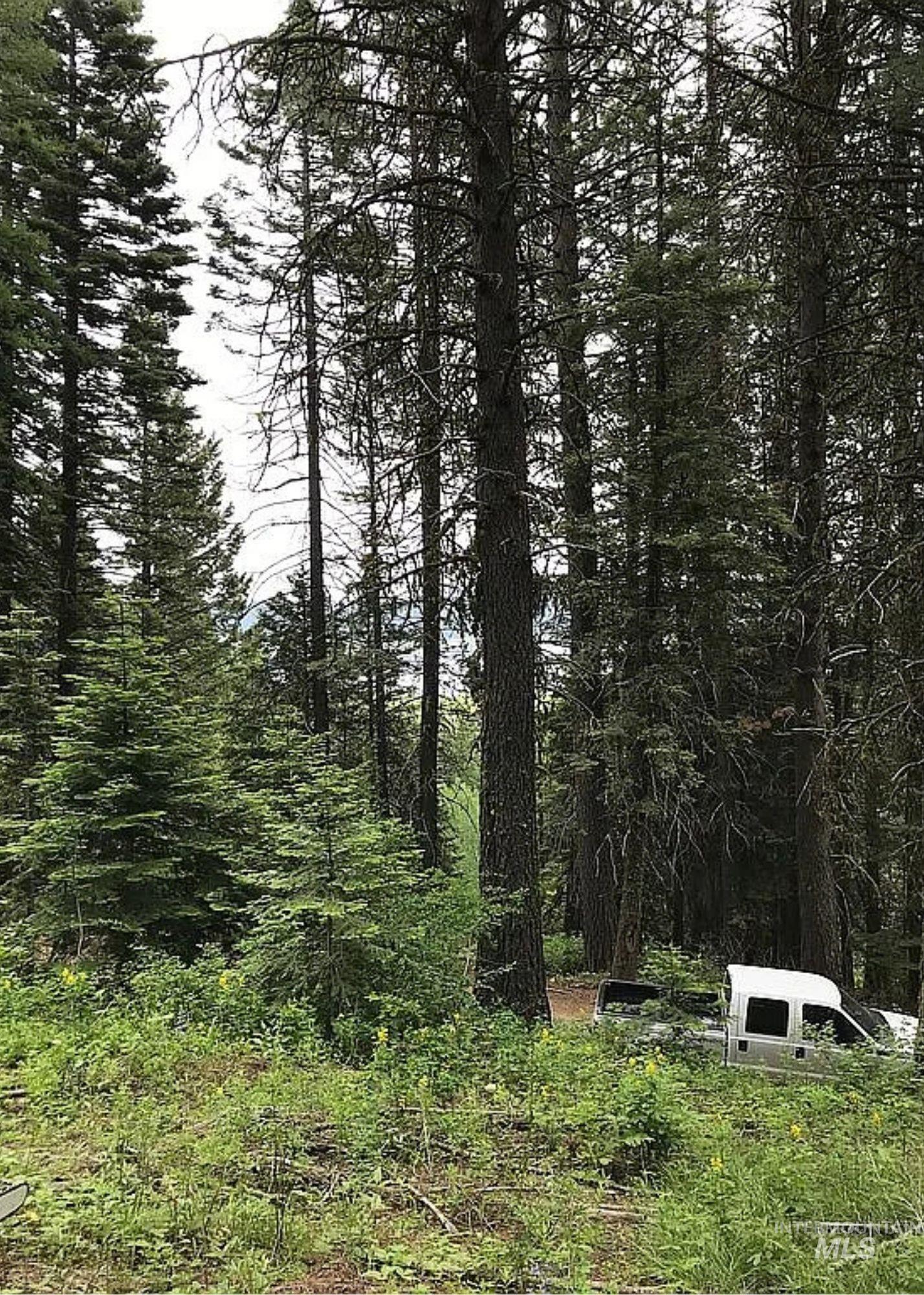 66 Hillside Trail, Donnelly, Idaho 83615, Land For Sale, Price $275,000,MLS 98969384