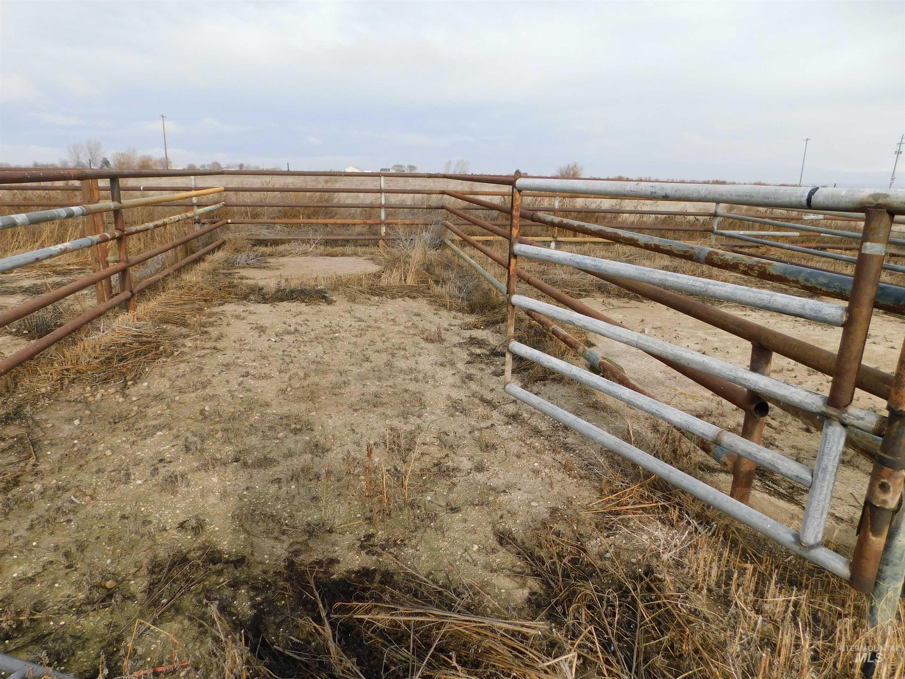 26915 Chips Lane, Parma, Idaho 83660, 3 Bedrooms, 2 Bathrooms, Residential For Sale, Price $580,000,MLS 98969403