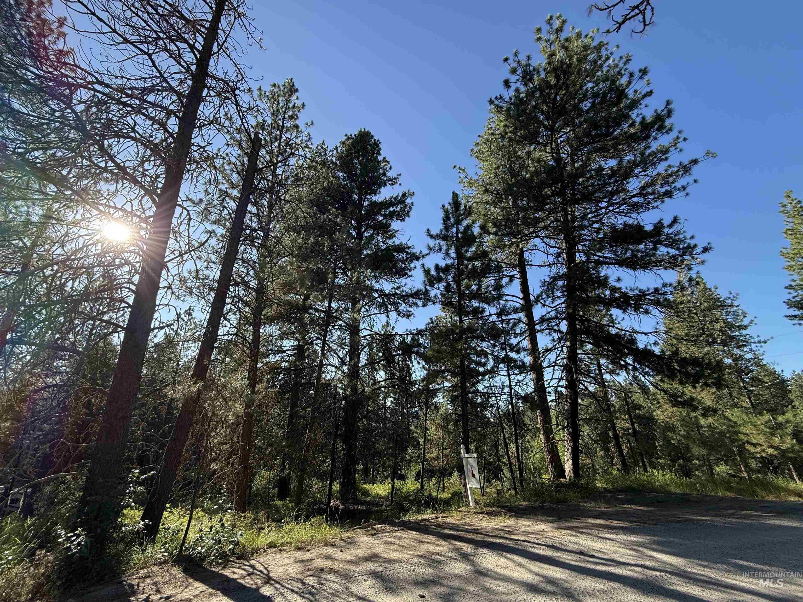 View of road featuring a view of trees