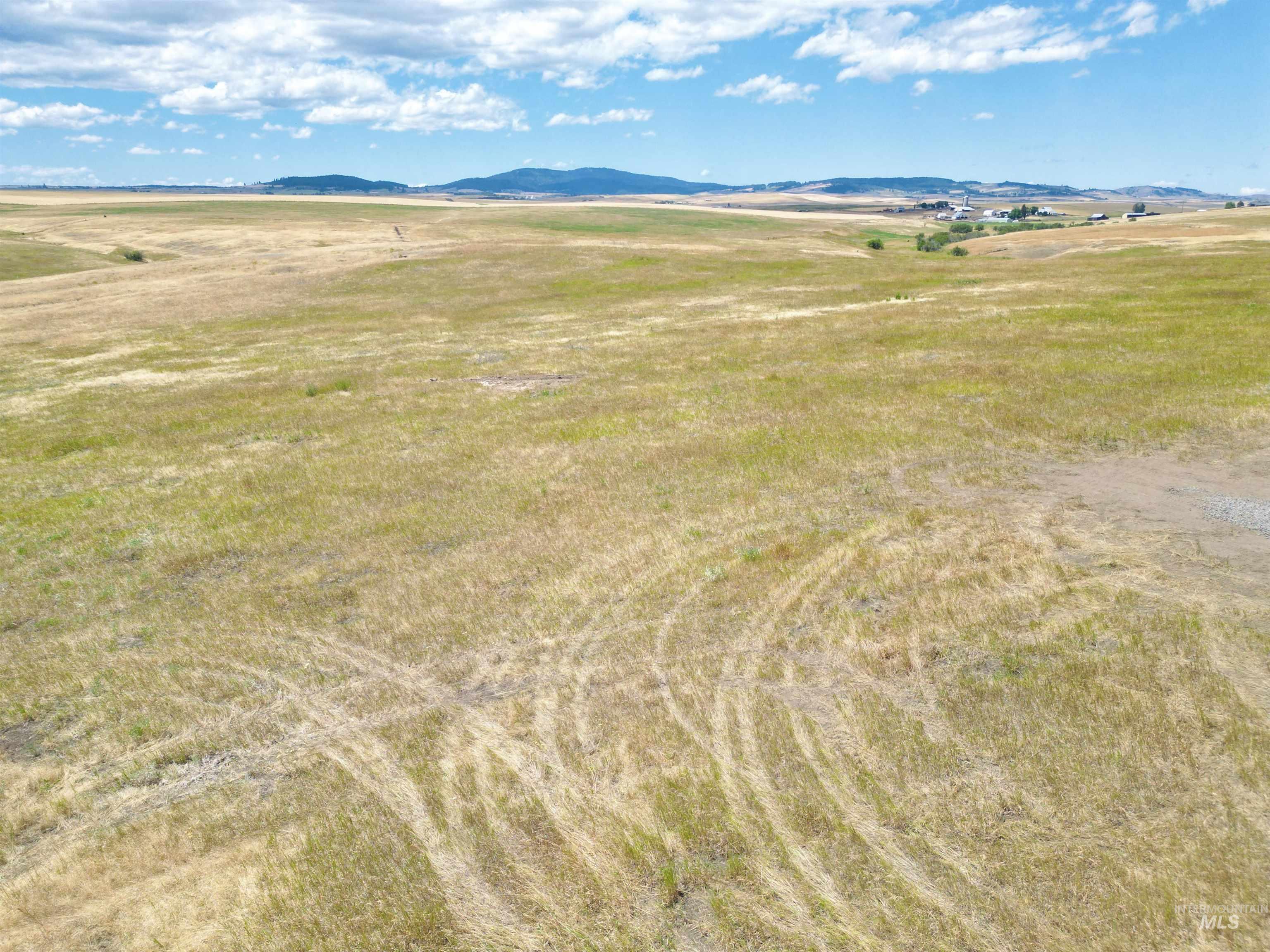 TBD Wasem Road Lot 3, CottonWood, Idaho 83522, Land For Sale, Price $144,000,MLS 98969430