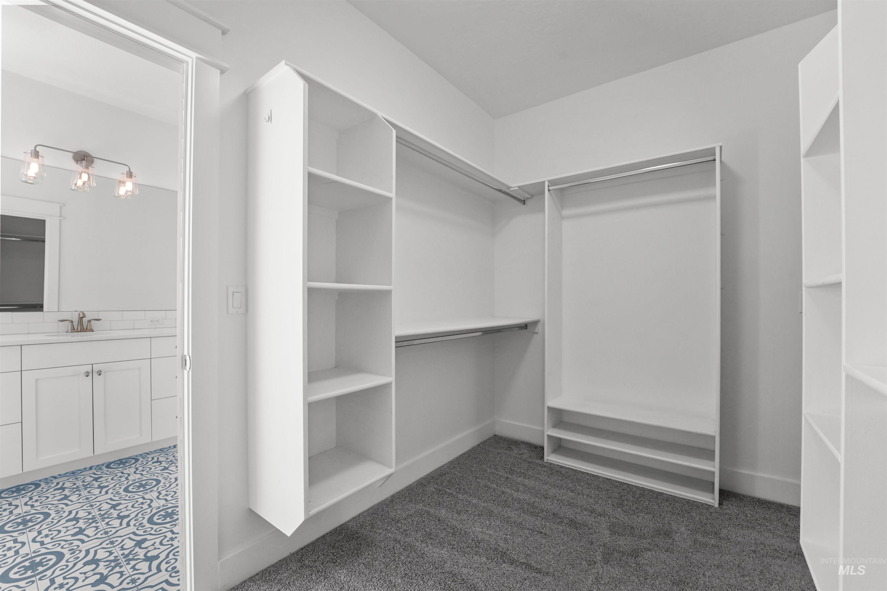 Walk in closet featuring a sink and carpet flooring