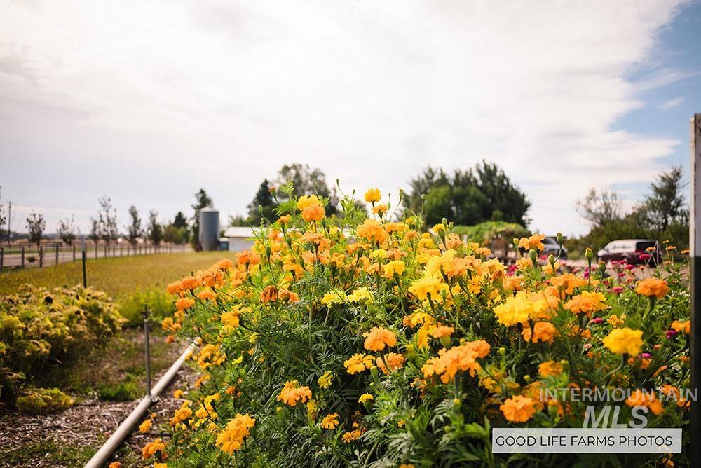 5600 W Beacon Light Rd, Eagle, Idaho 83616, 3 Bedrooms, 2 Bathrooms, Residential For Sale, Price $3,800,000, 98969472