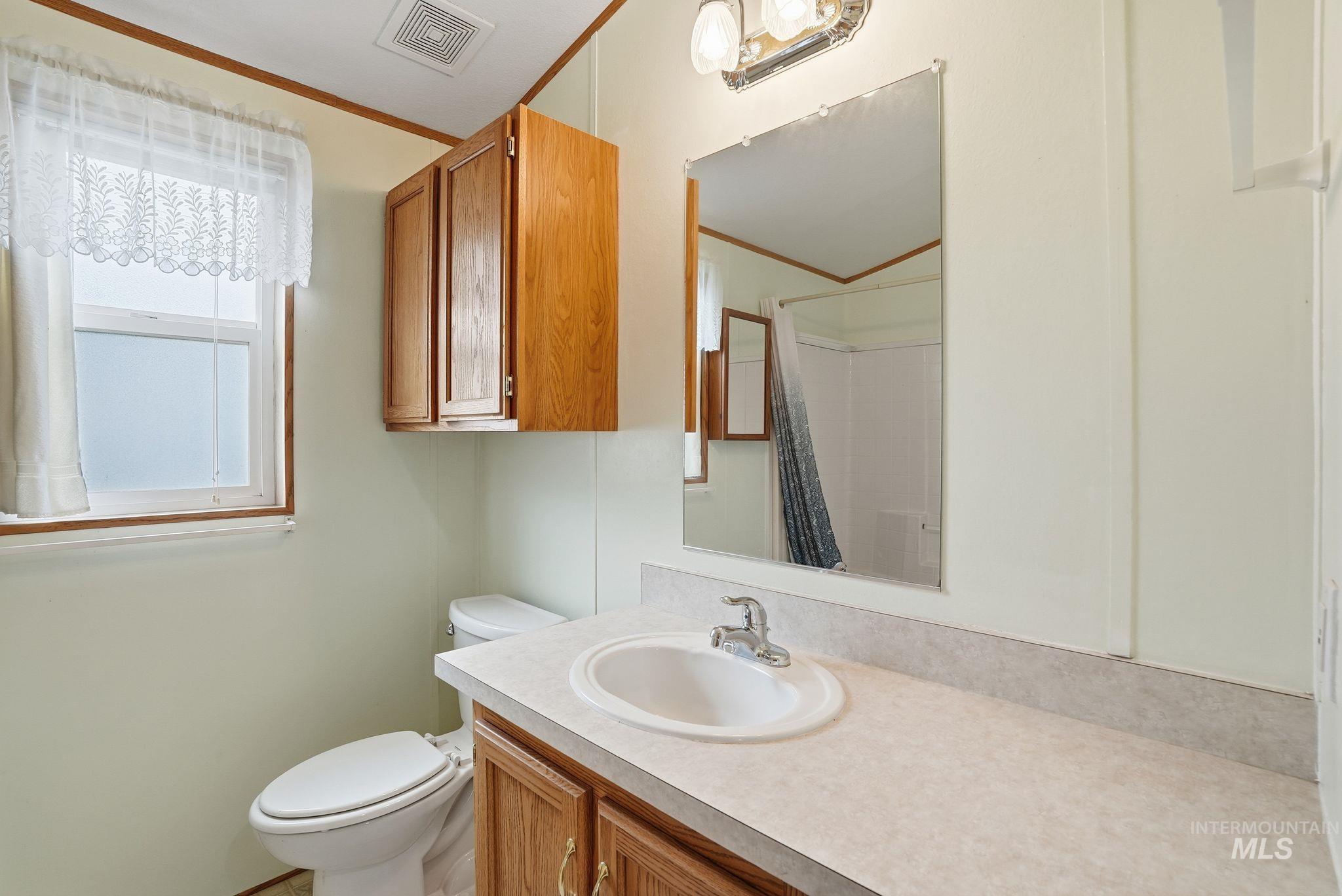 Full bathroom featuring crown molding, a shower with shower curtain, and vanity
