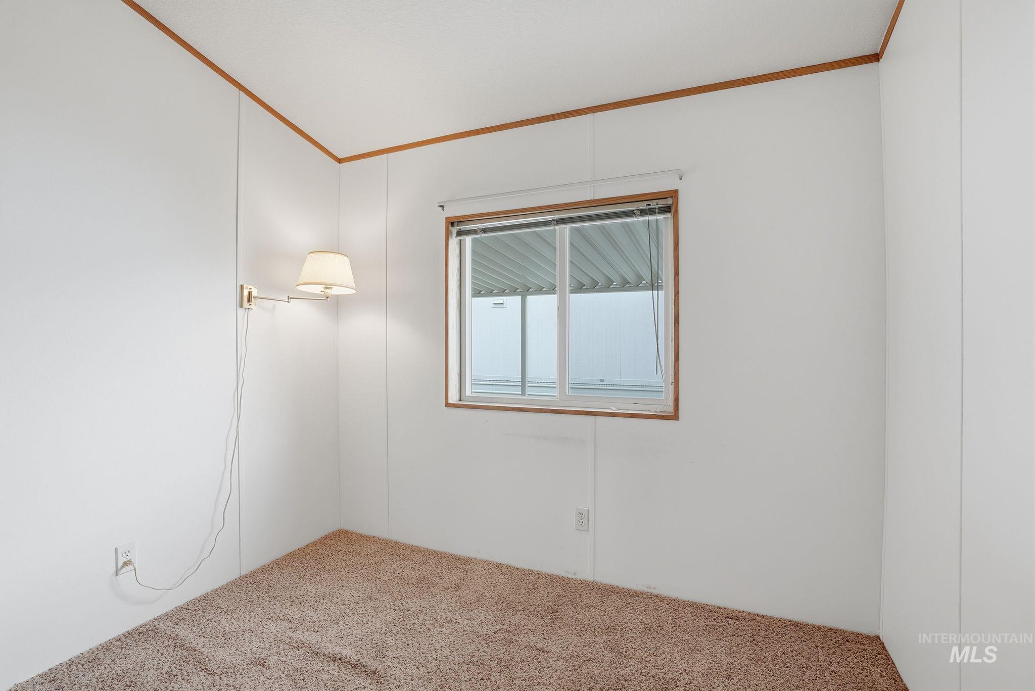 Spare room with carpet and ornamental molding