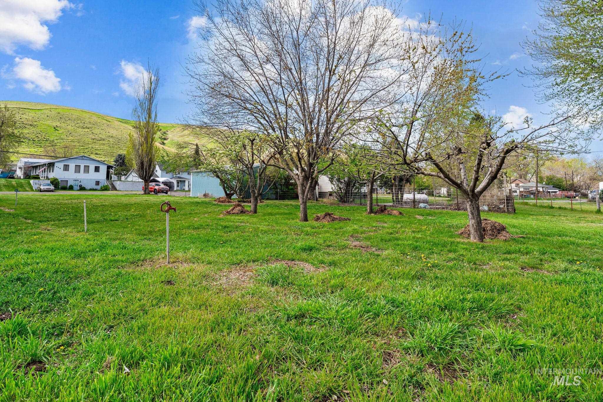 319 Pataha St, Pomeroy, Washington 99347, 3 Bedrooms, 2 Bathrooms, Residential For Sale, Price $249,000,MLS 98969494