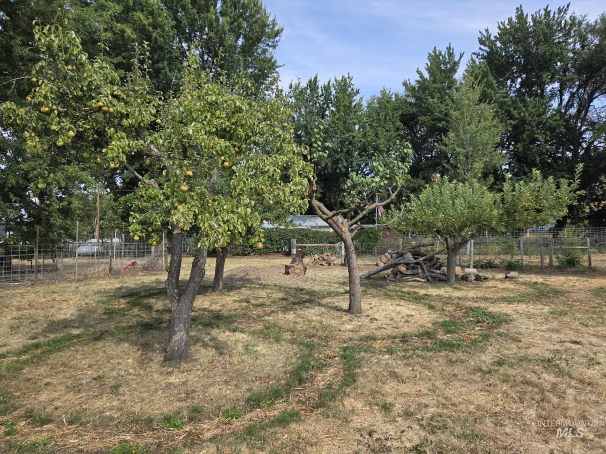 319 Pataha St, Pomeroy, Washington 99347, 3 Bedrooms, 2 Bathrooms, Residential For Sale, Price $265,000, 98969494