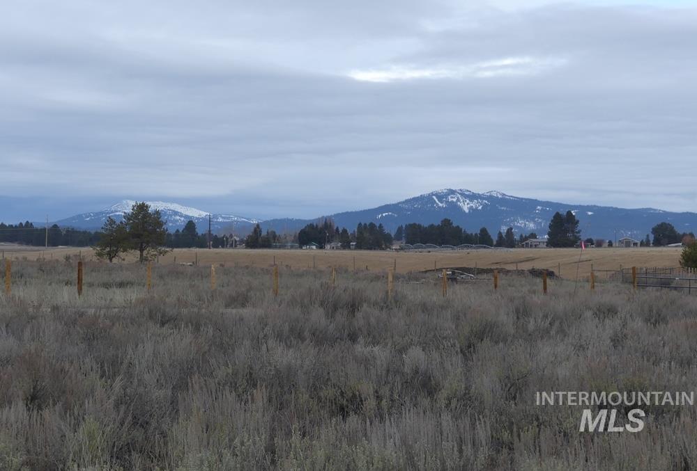 173 Brookdale Drive, McCall, Idaho 83638, Land For Sale, Price $369,000, 98969545